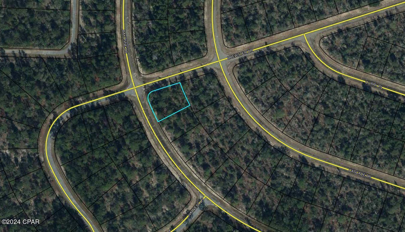 Photo of Lot 1 Bayonne Chipley FL 32428