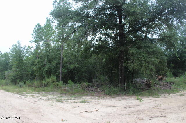 Photo of 0 Sally Jean Defuniak Springs FL 32433