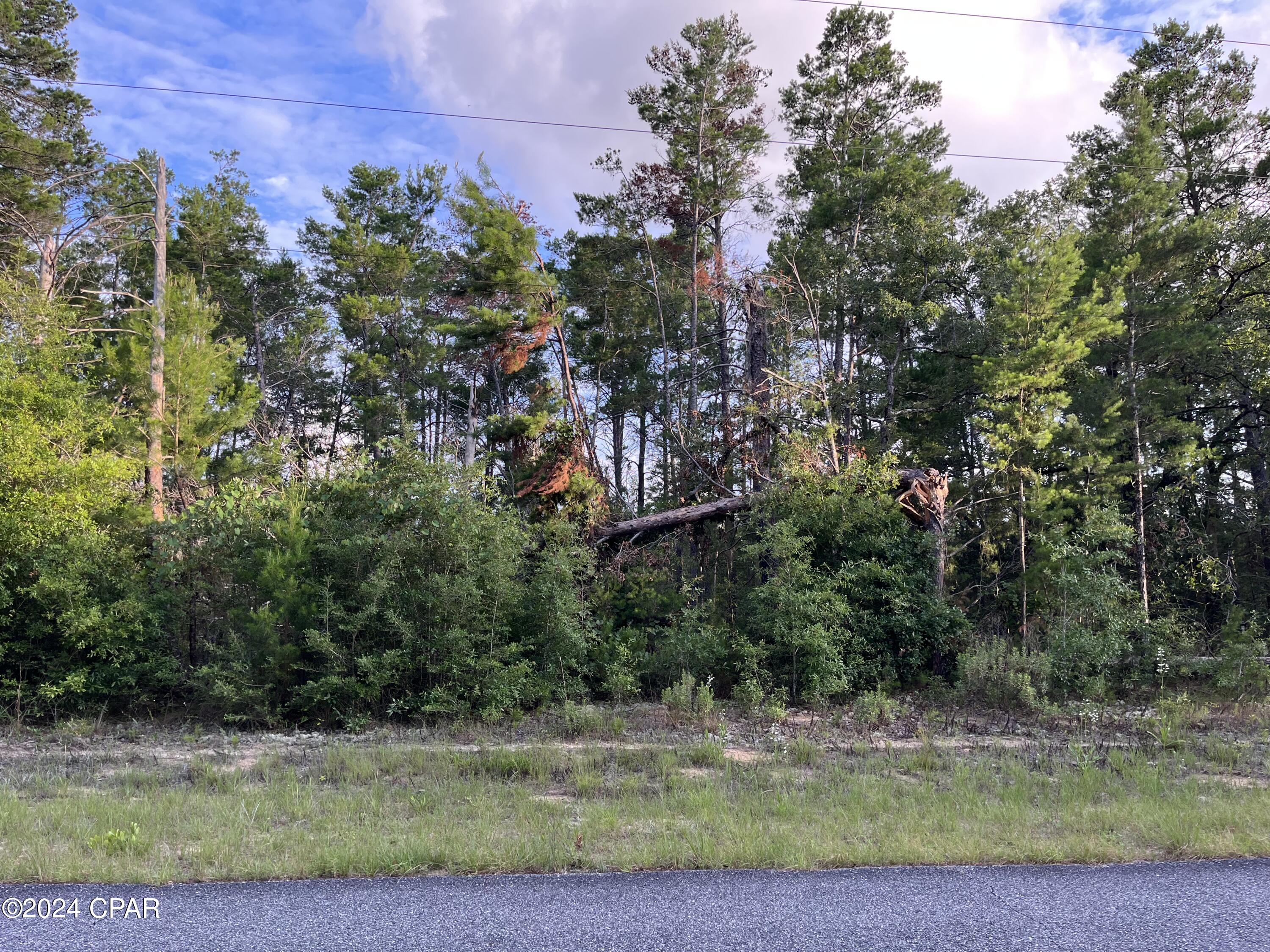 Photo of Lot 23 Dumajack Chipley FL 32428