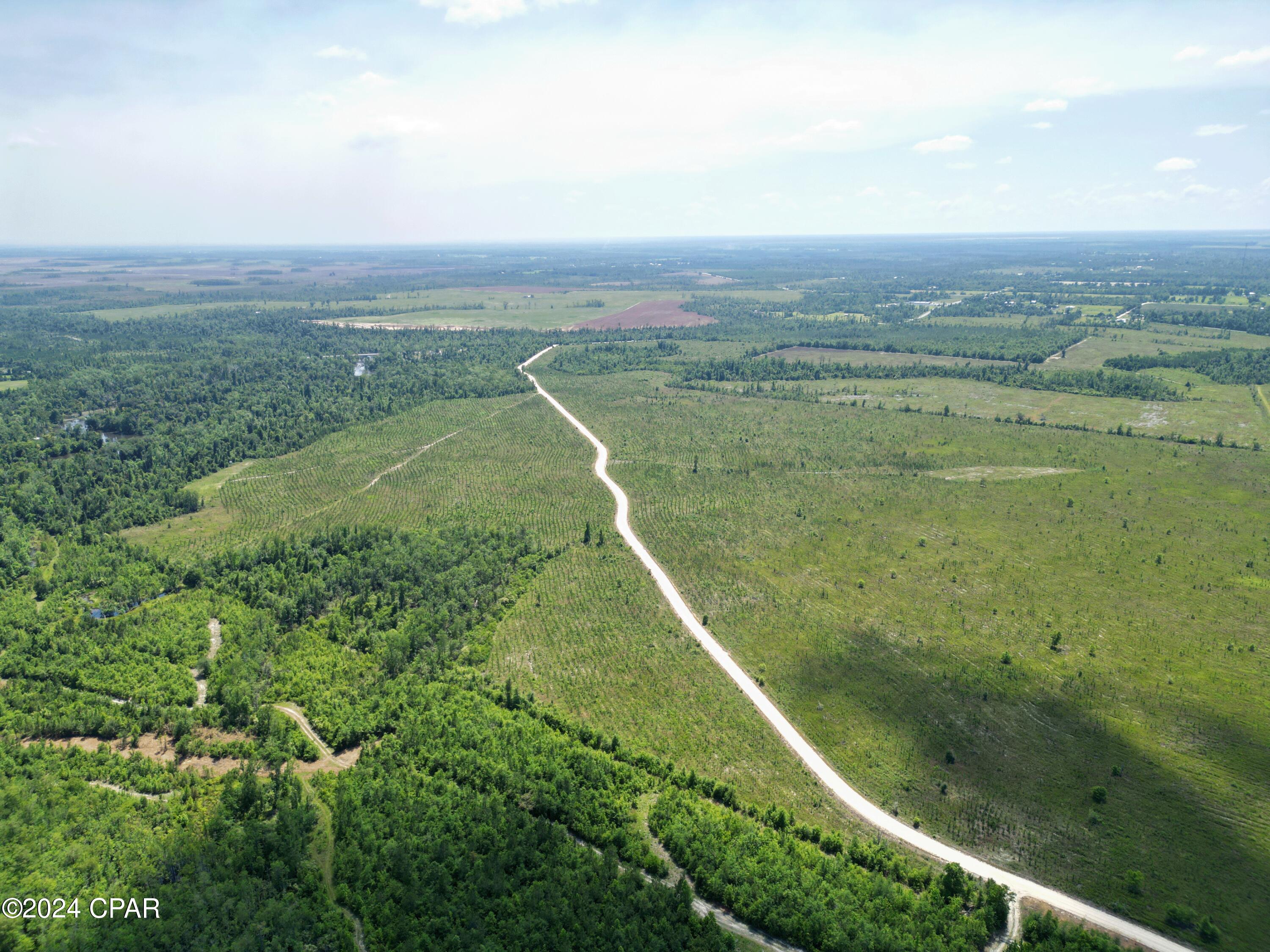 Lot 3 NW Kb Jones Road, Clarksville, Florida image 4
