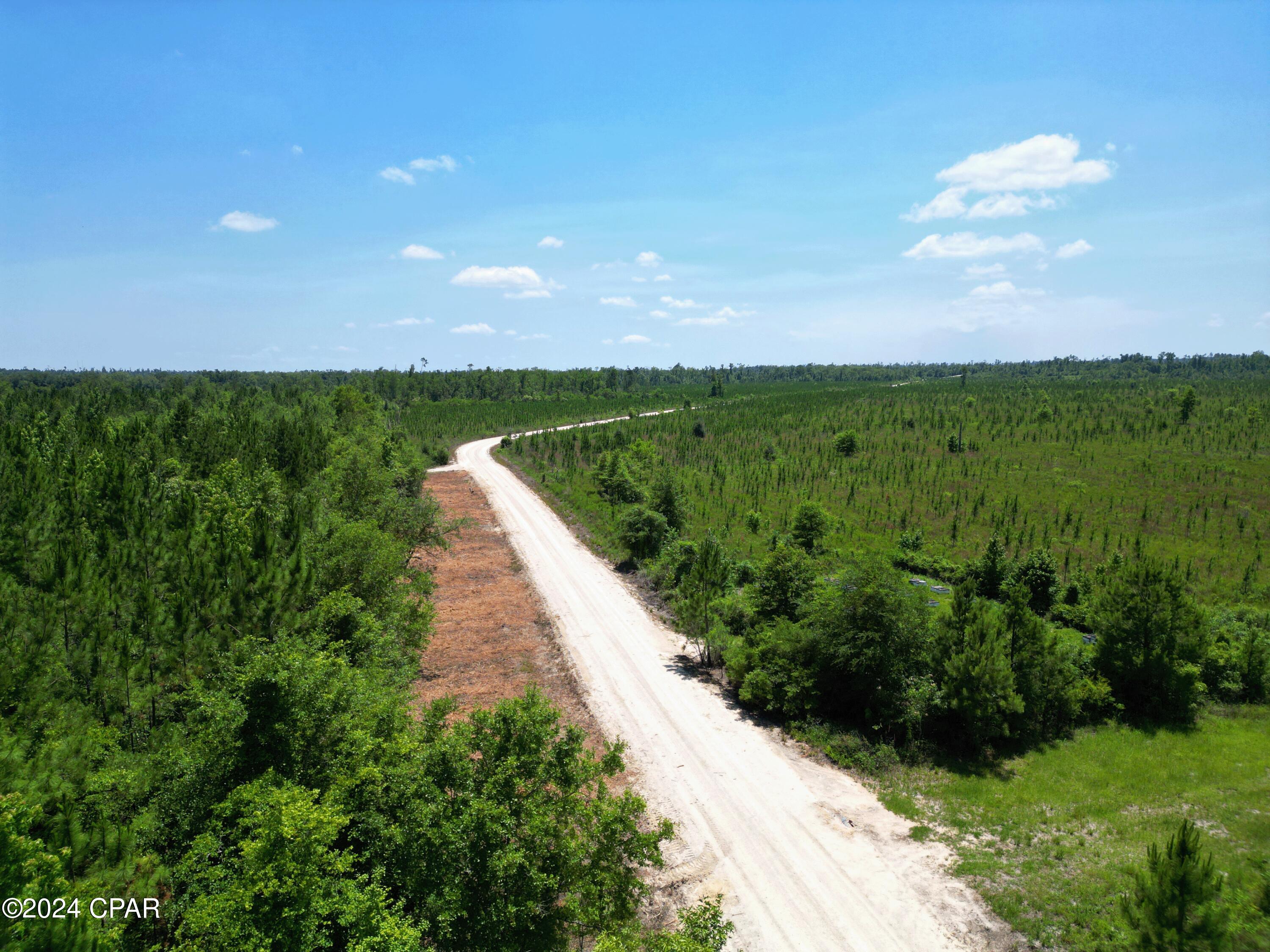 Lot 8 Nw Kb Jones Rd, Clarksville, Florida image 2