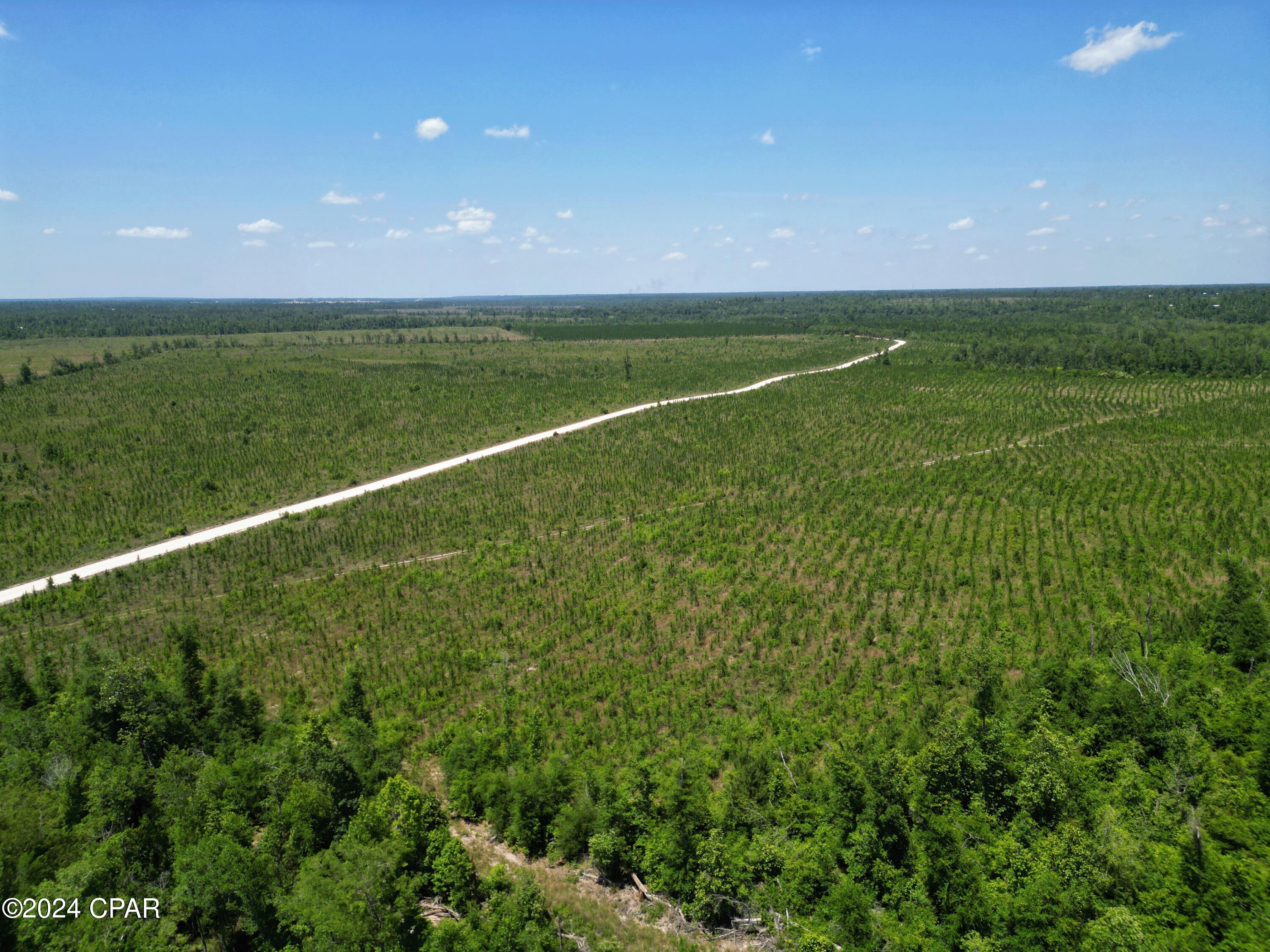 Lot 13 Nw Kb Jones Road, Clarksville, Florida image 5