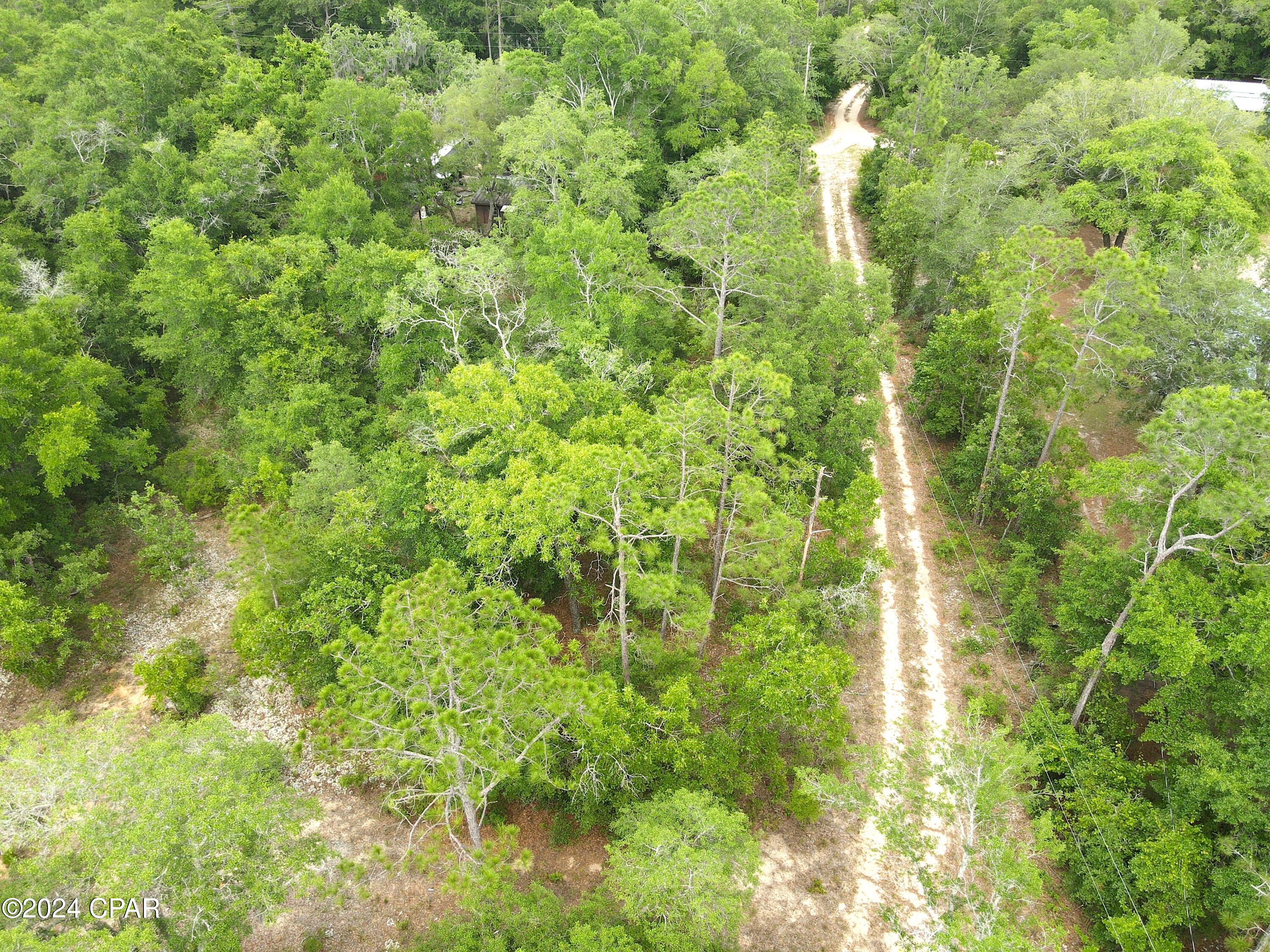 Image 8 For 00 Mossy Oaks 2nd Avenue