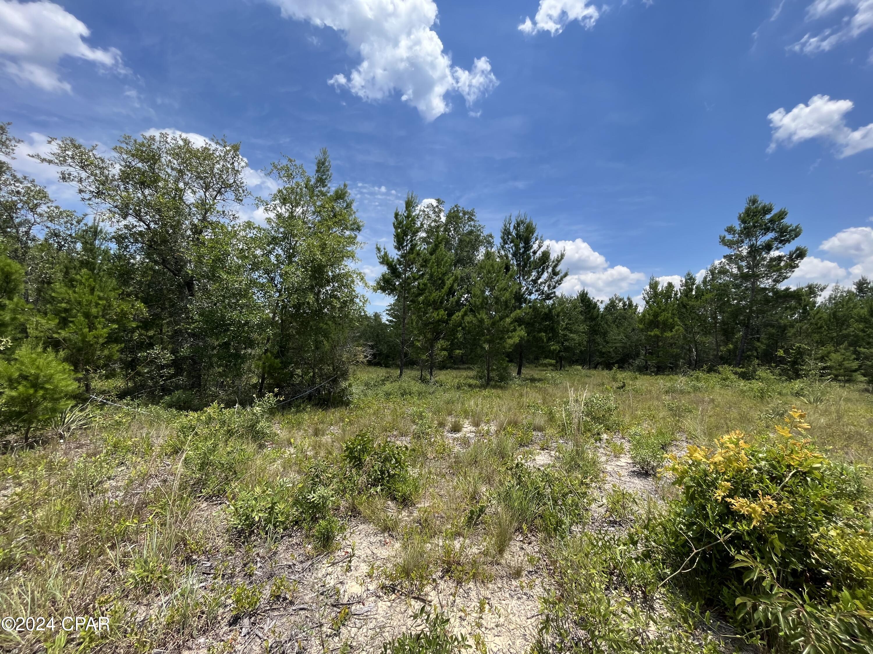 Details for Lot 26 Velvet Drive, Chipley, FL 32428