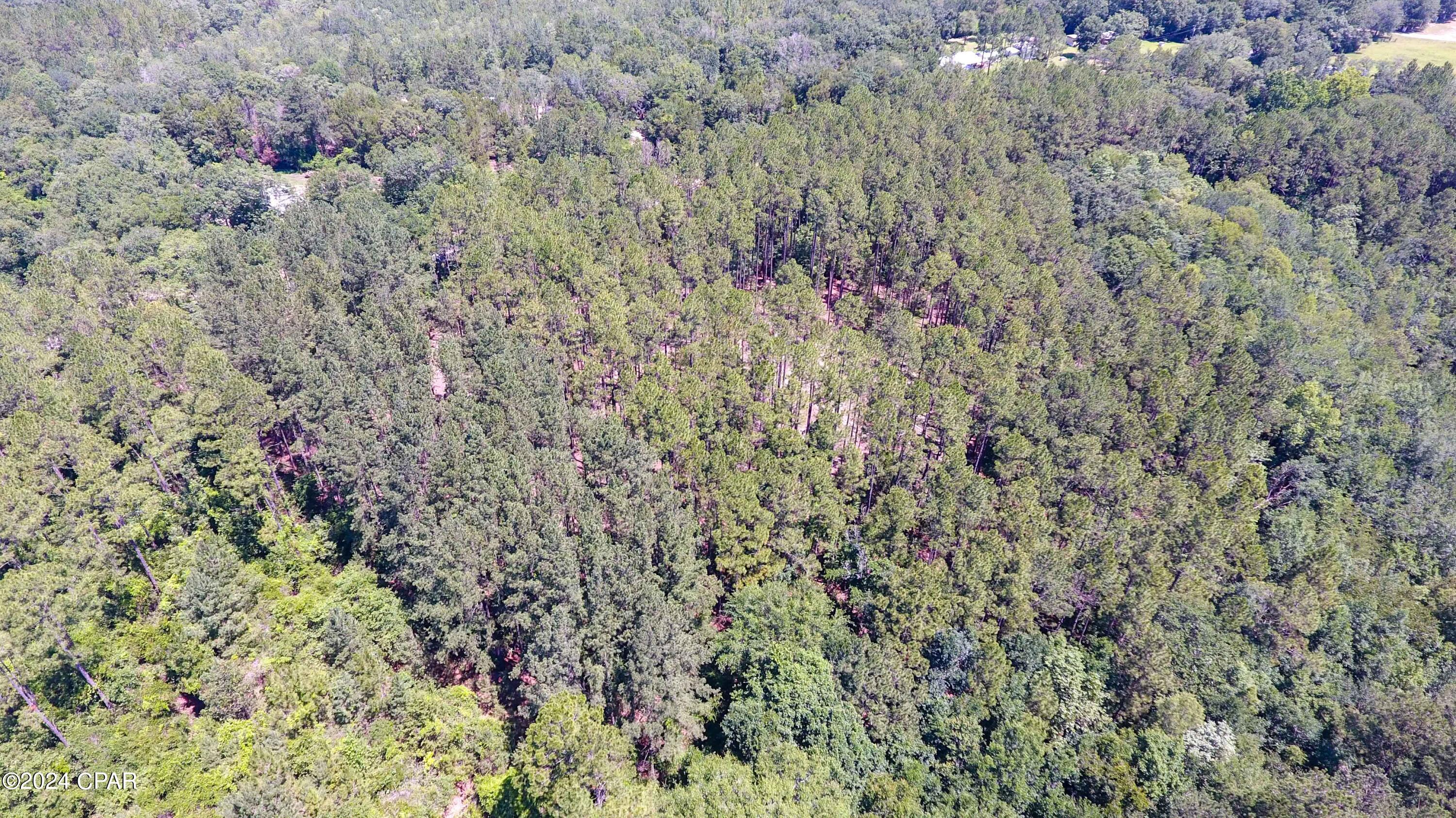 TBD Hwy 177a, Bonifay, Florida image 8