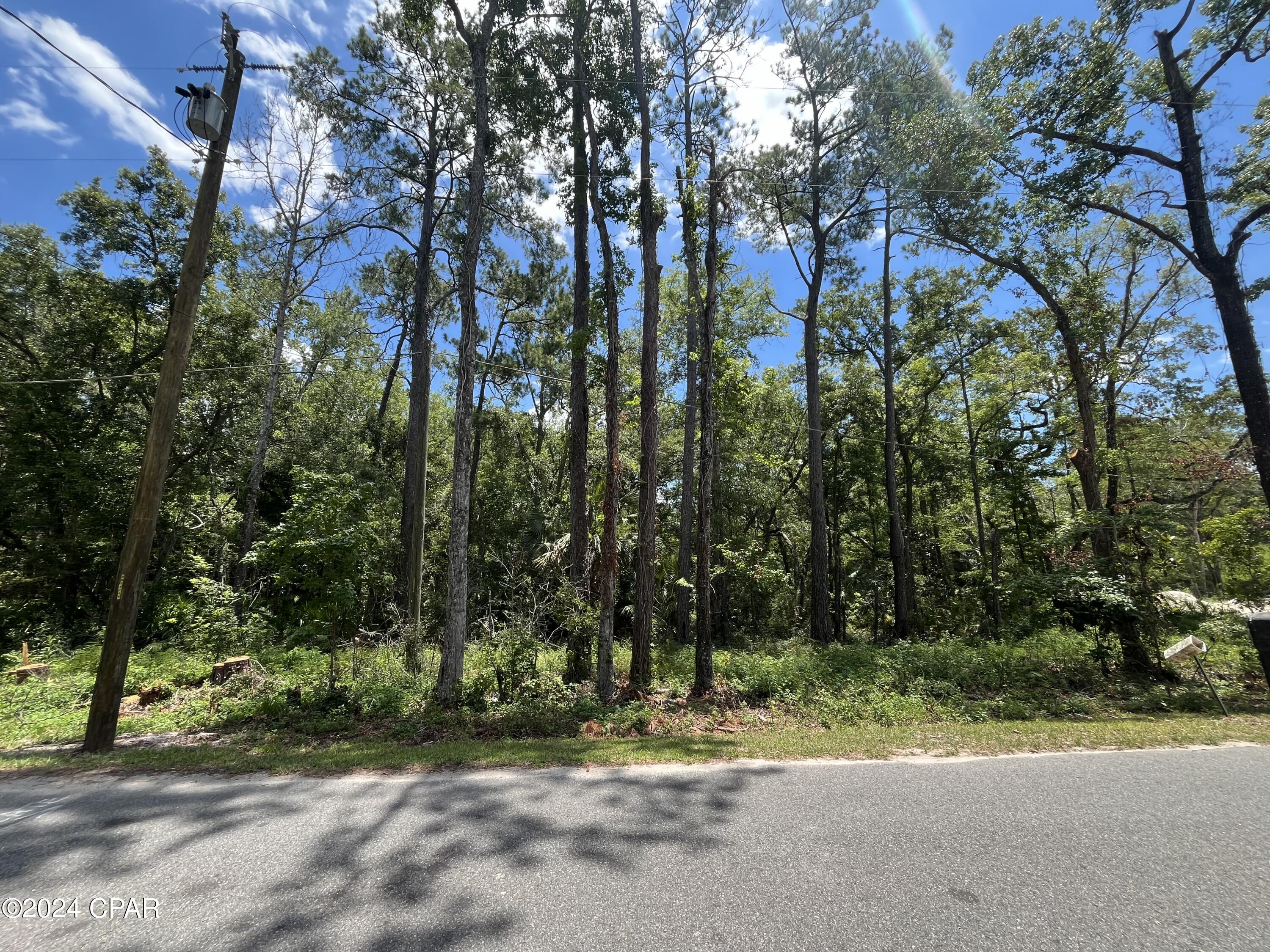 Photo of TBD Franklin Crawfordville FL 32326