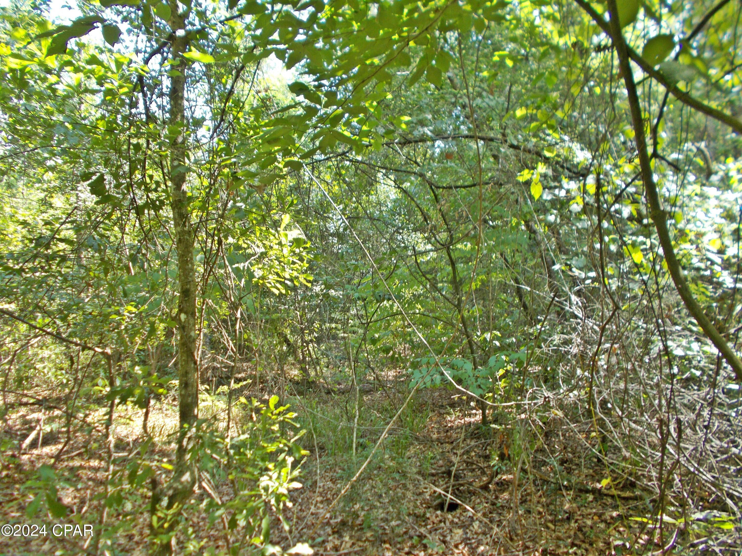 Photo of 2207 Mingo Cottondale FL 32431