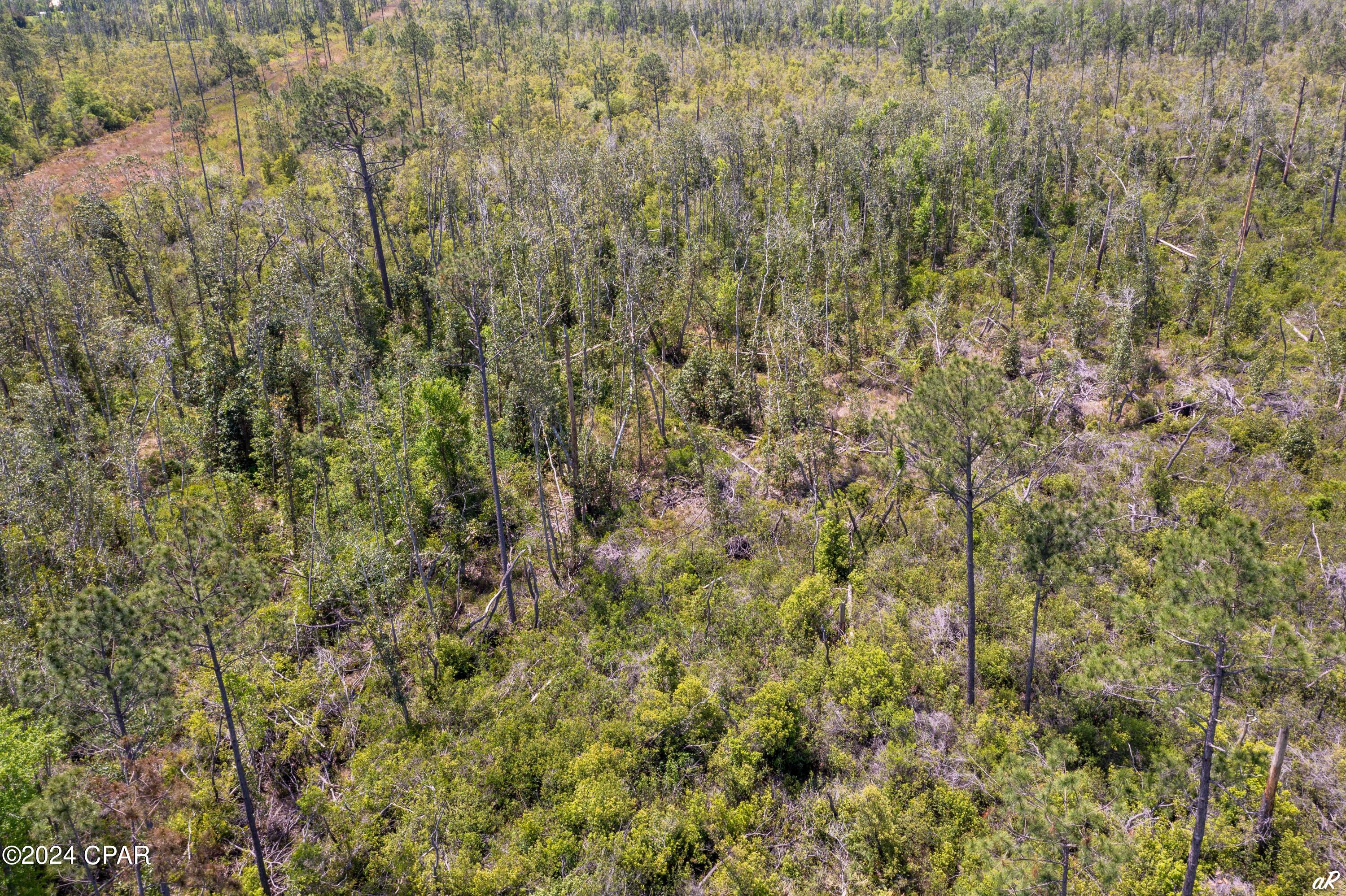 6125 Bay Head Road, Youngstown, Florida image 8