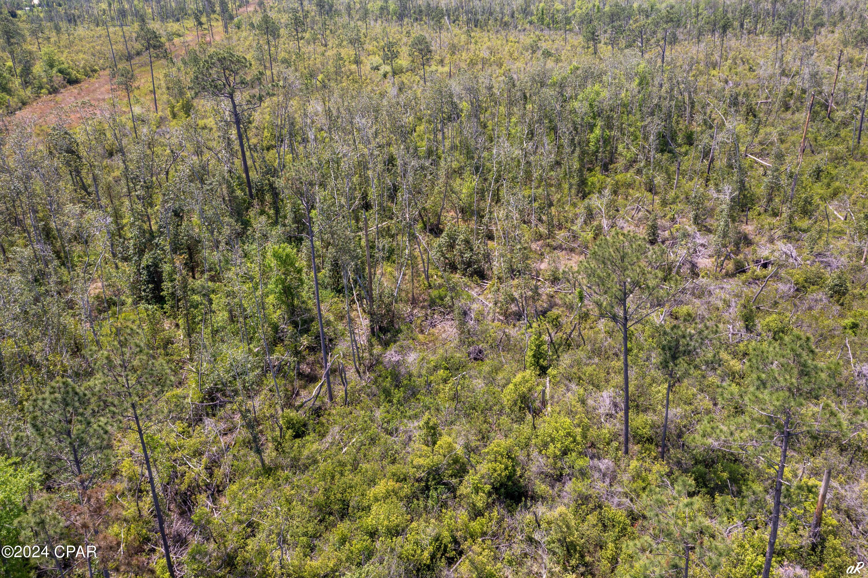 Image 8 For 6125 Bay Head Road