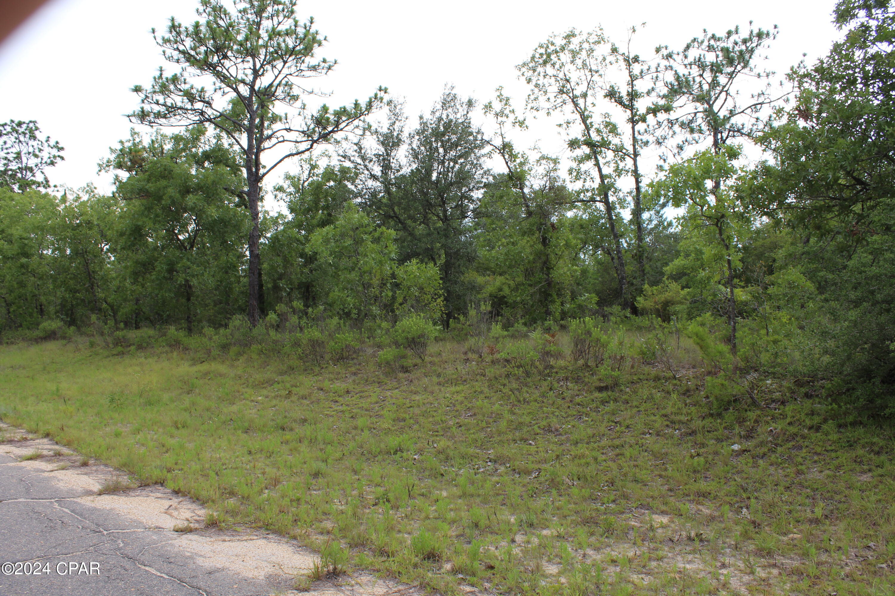 Details for Lot 1 Esmont, Chipley, FL 32428