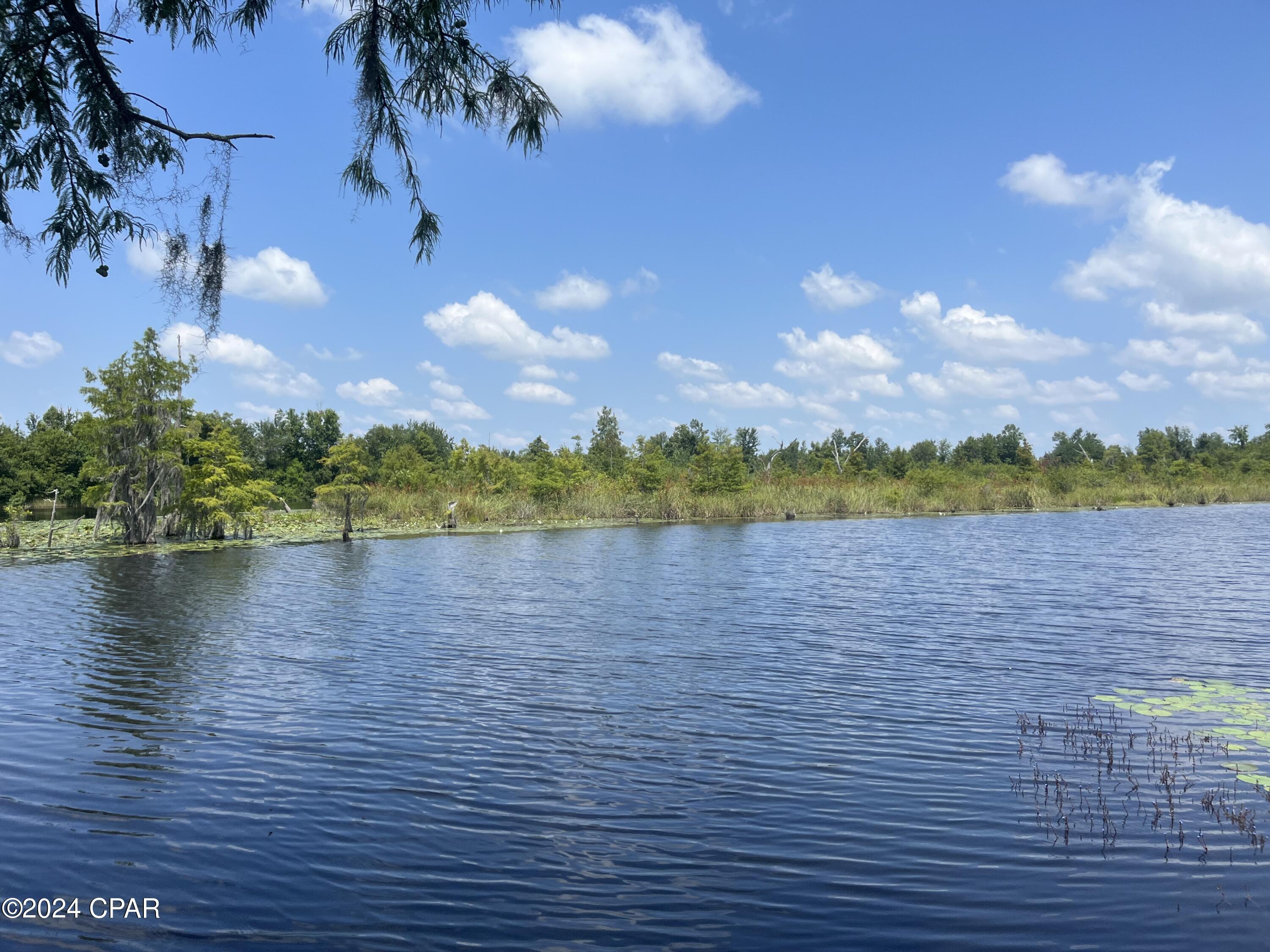 9636 Indian Bluff Resort Ln, Youngstown, Florida image 1