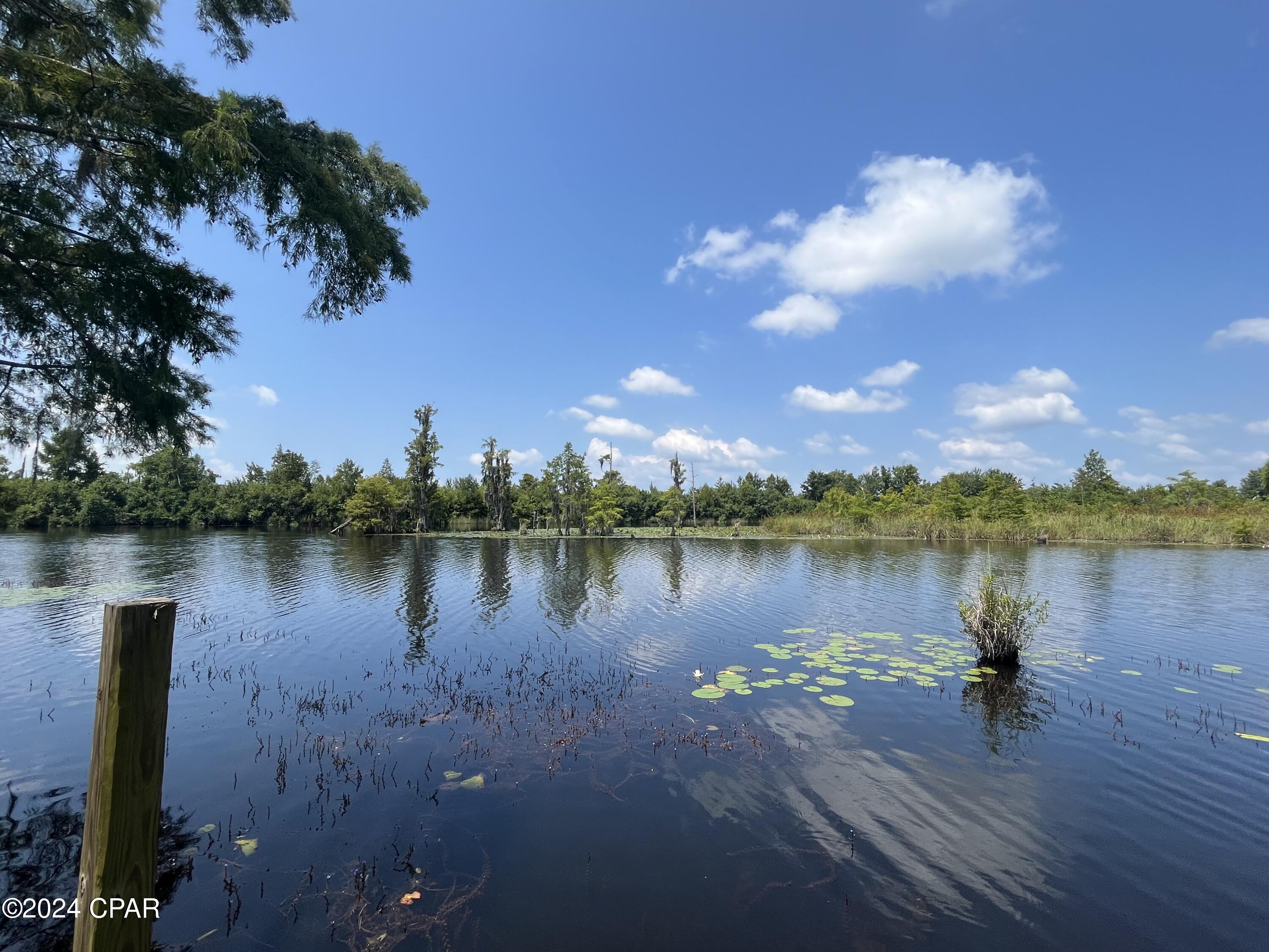 9636 Indian Bluff Resort Ln, Youngstown, Florida image 14