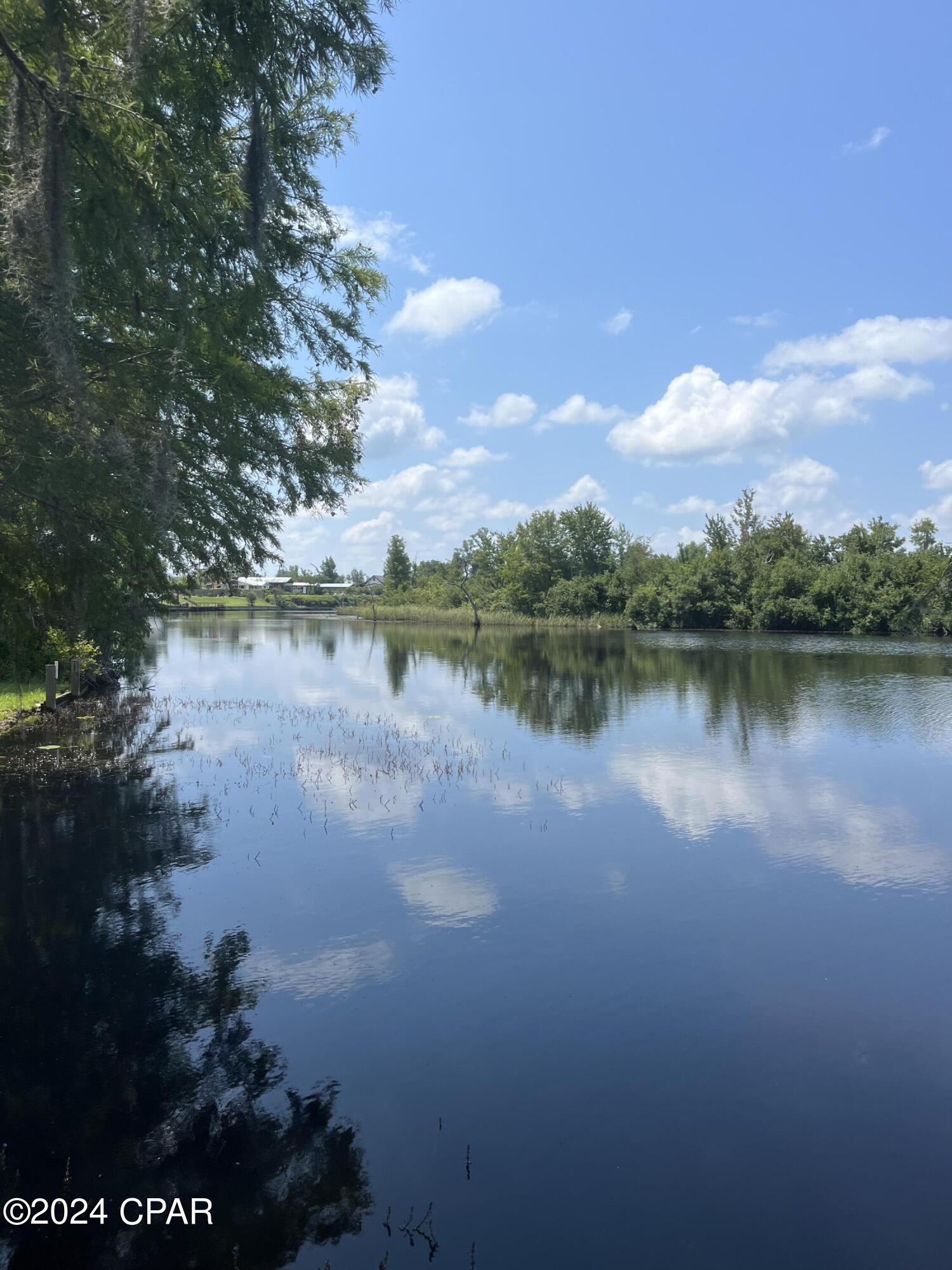 9636 Indian Bluff Resort Ln, Youngstown, Florida image 2