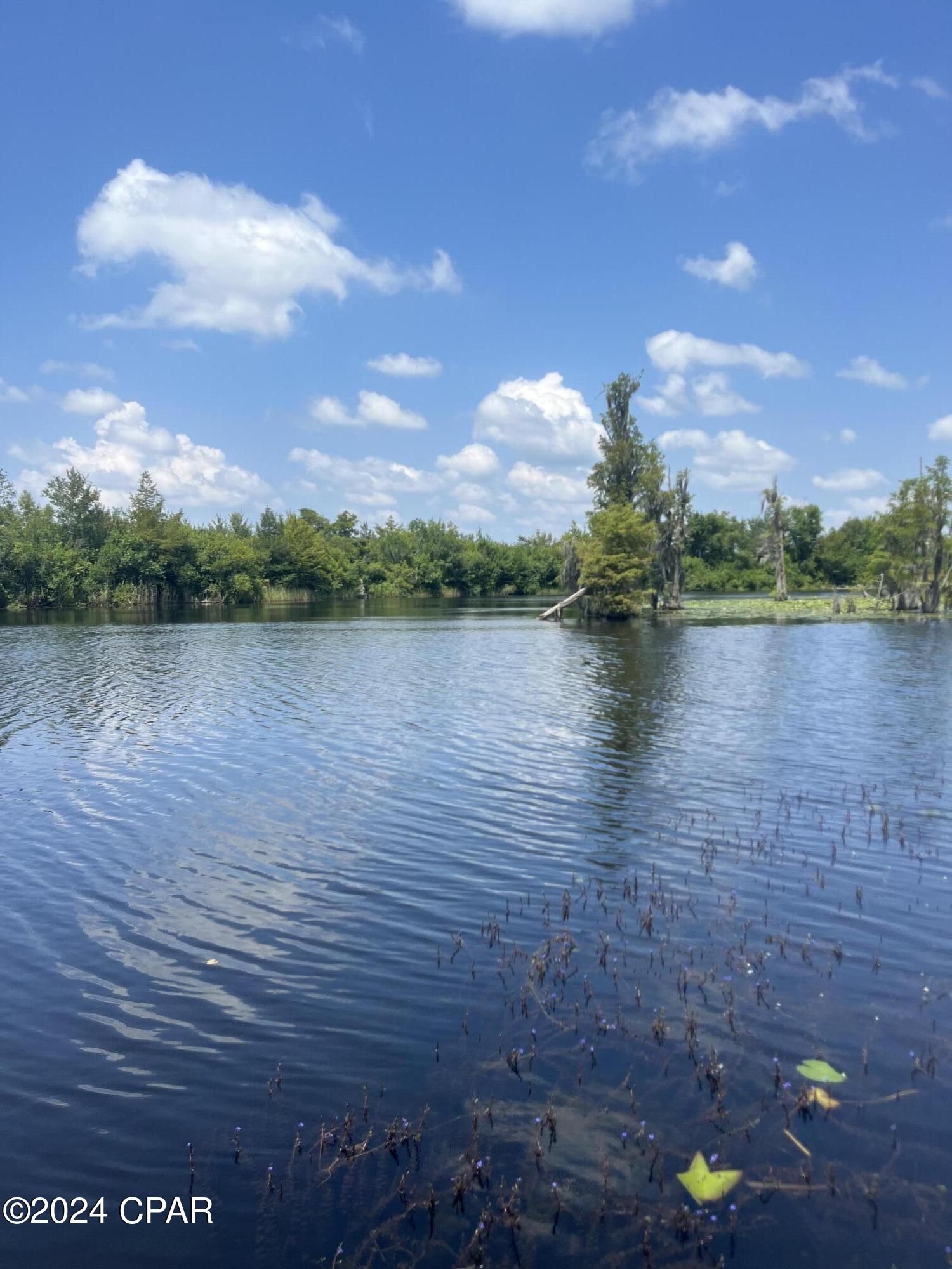 9636 Indian Bluff Resort Ln, Youngstown, Florida image 22