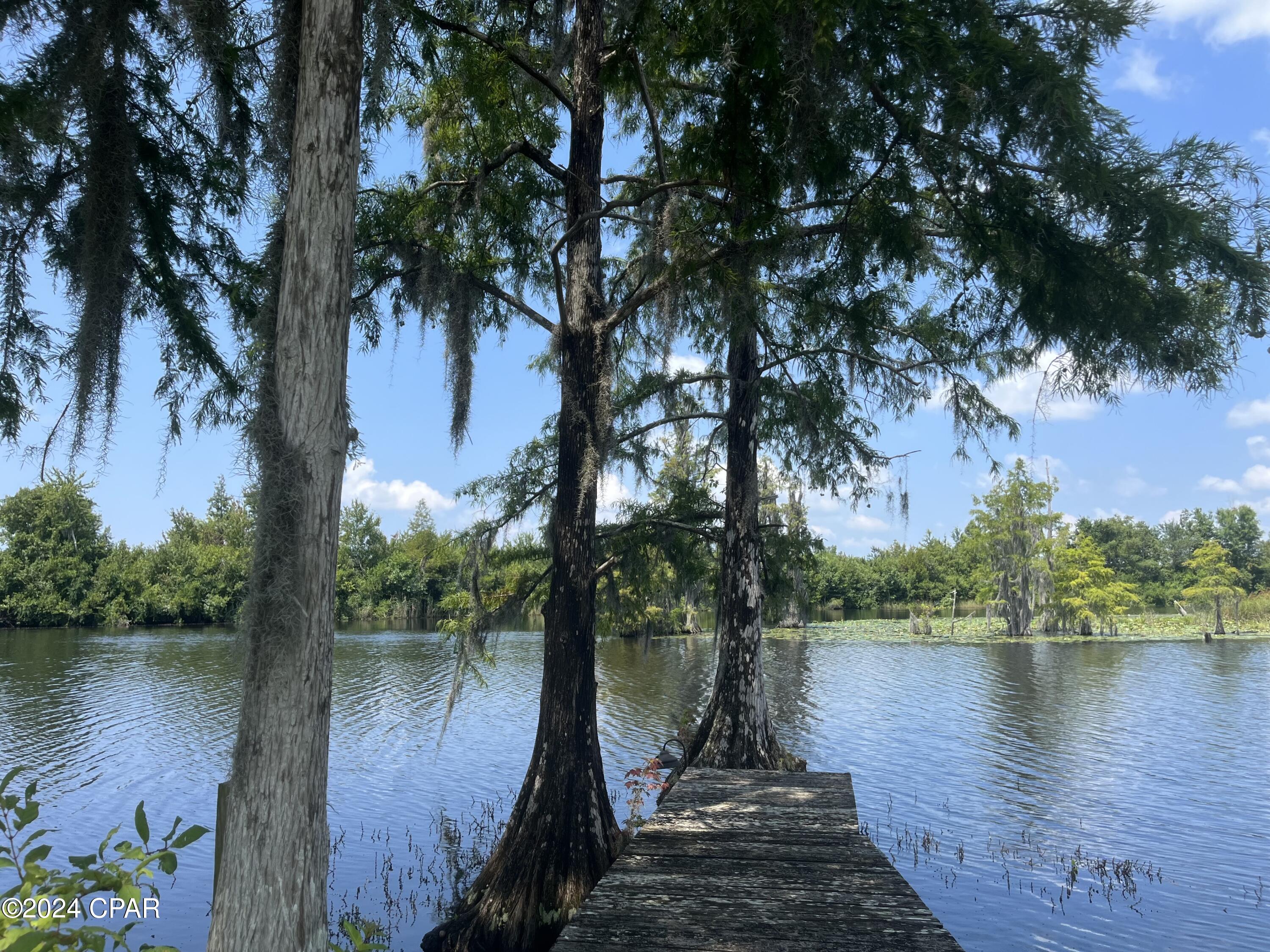 9636 Indian Bluff Resort Ln, Youngstown, Florida image 8
