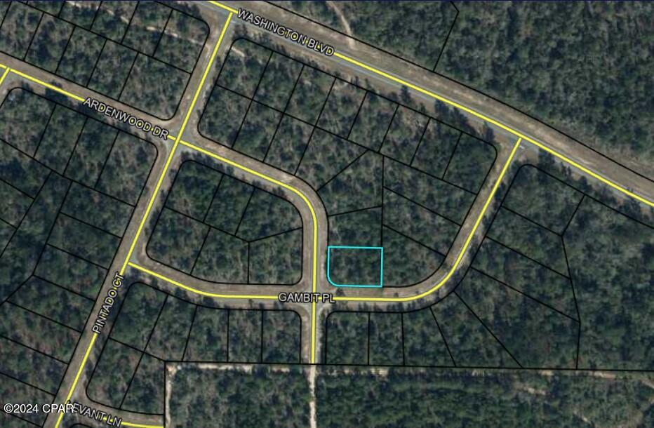 Photo of Lot 12 Gambit Chipley FL 32428