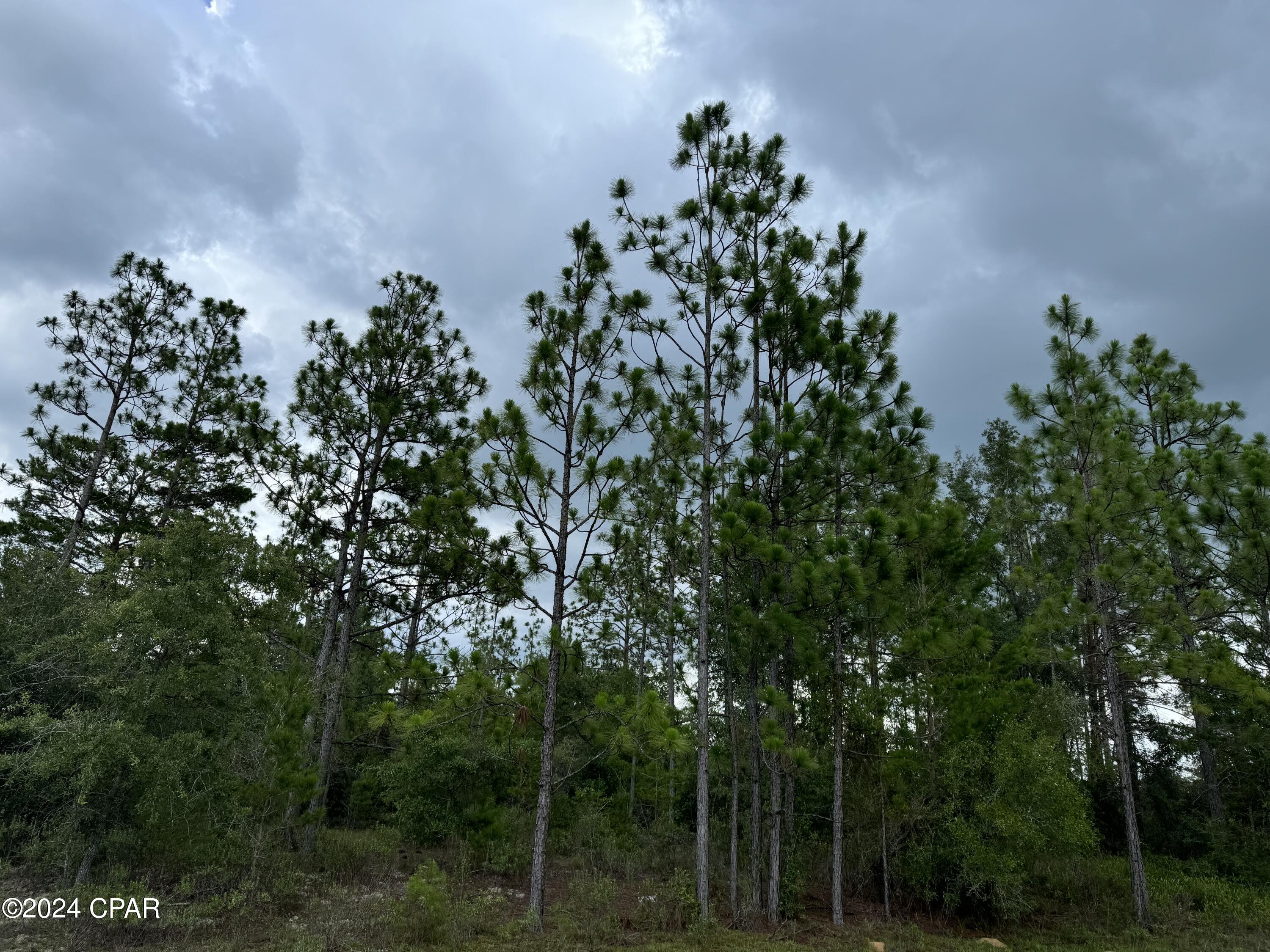 Details for 0000 Tippet Drive, Chipley, FL 32428