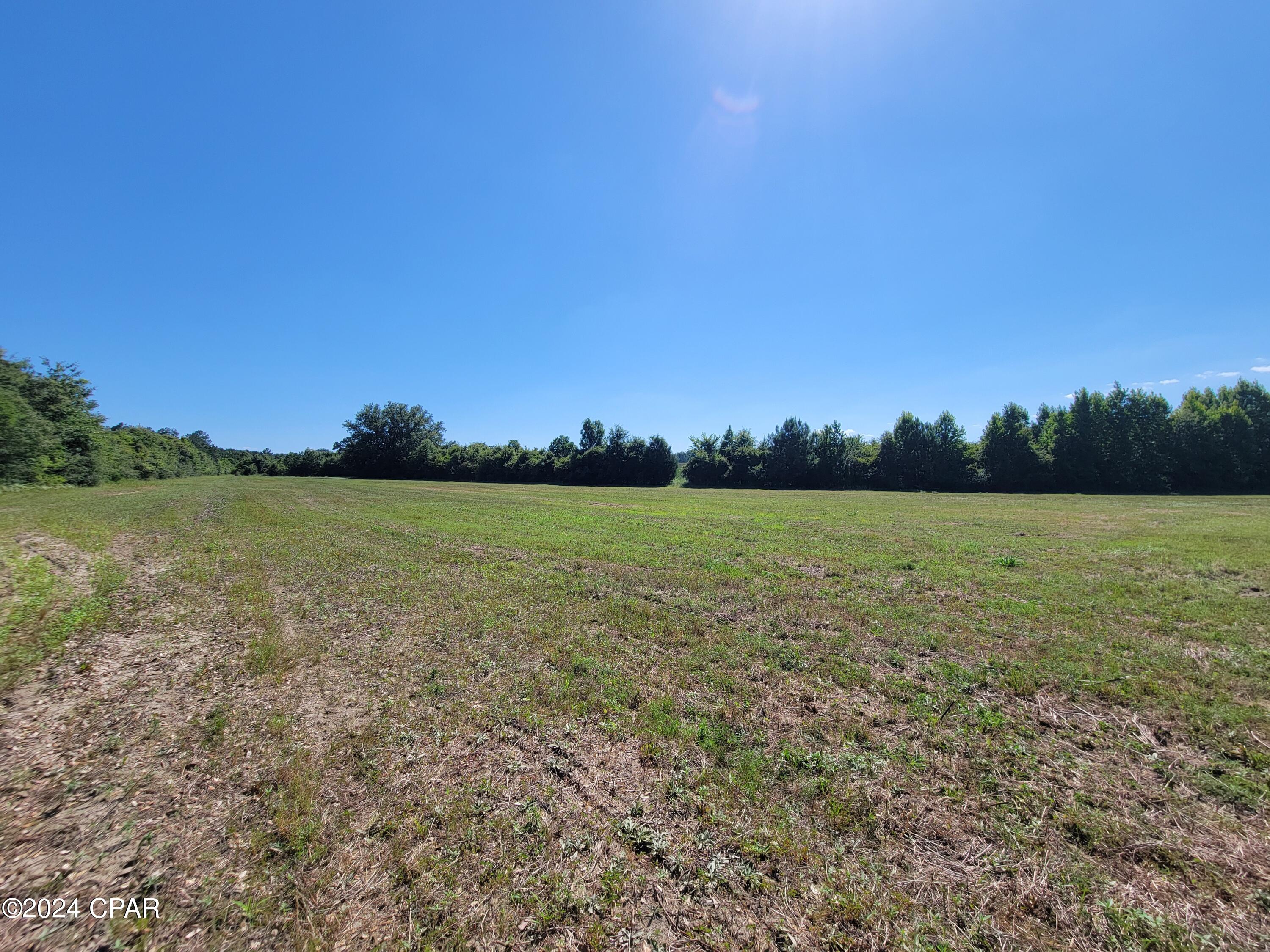 Photo of Lot 2 Bradley Westville FL 32464