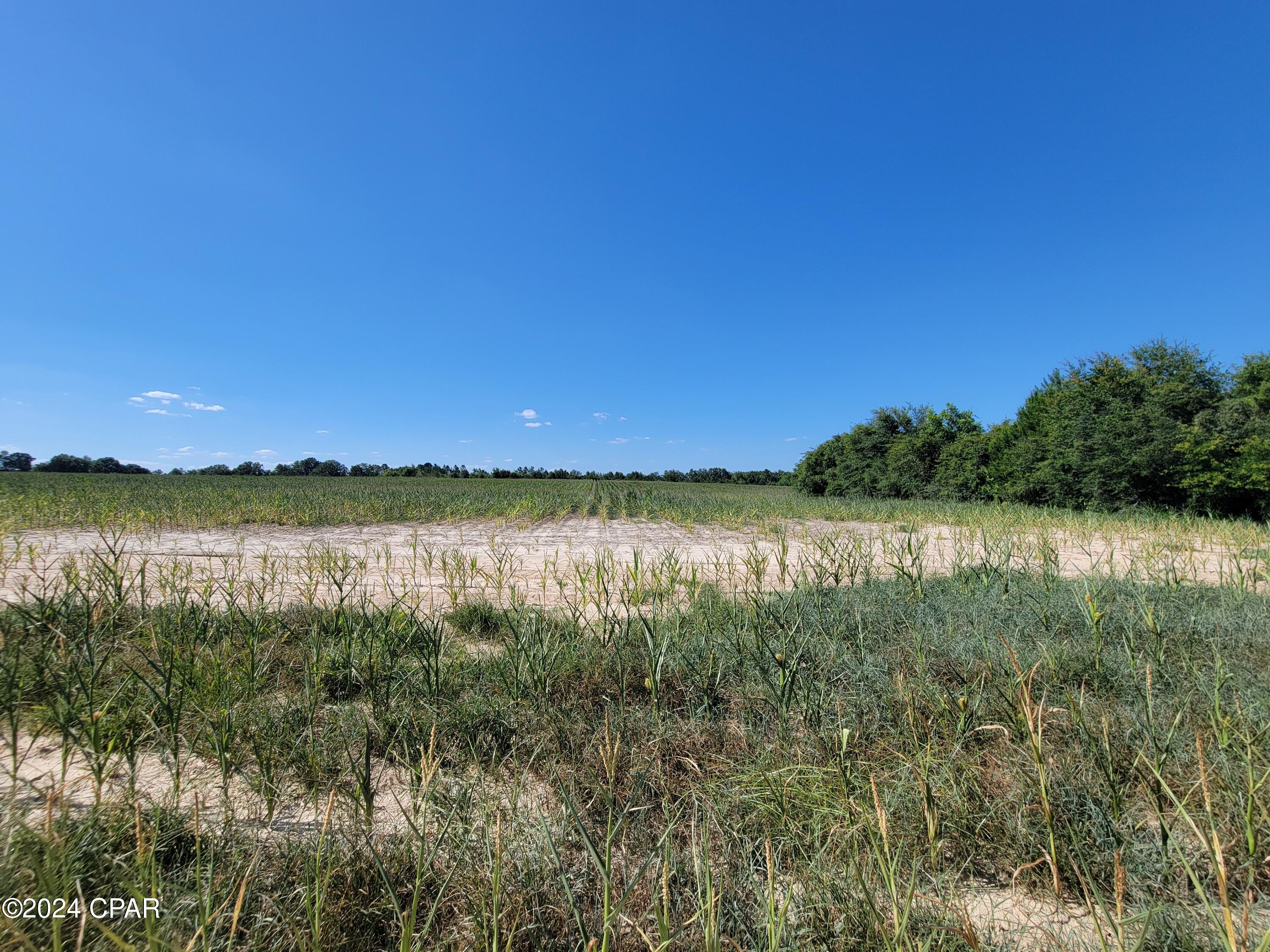 Details for Lot 3 Bradley Road, Westville, FL 32464