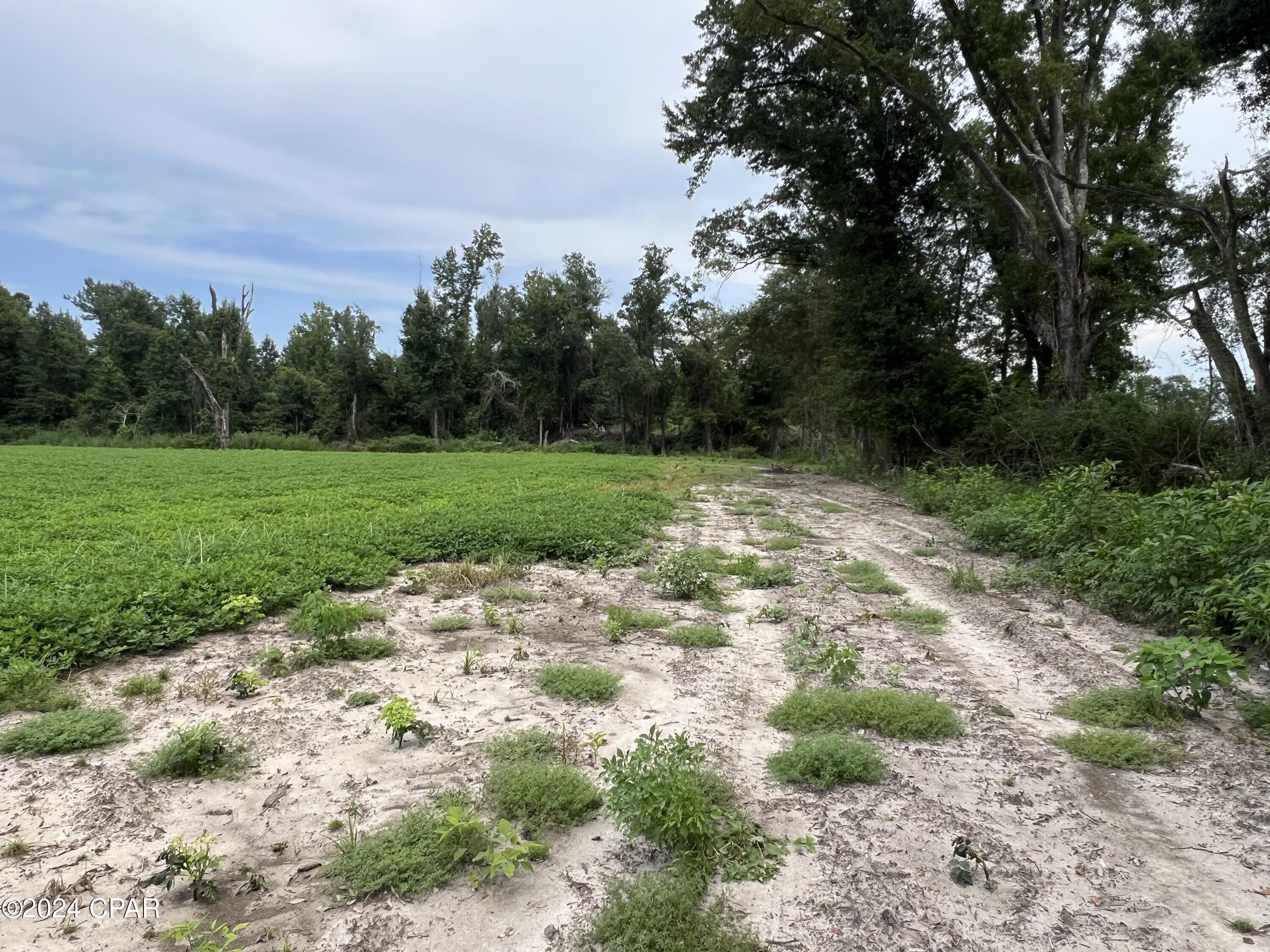 Image 8 For 2183 Highway 73 Road