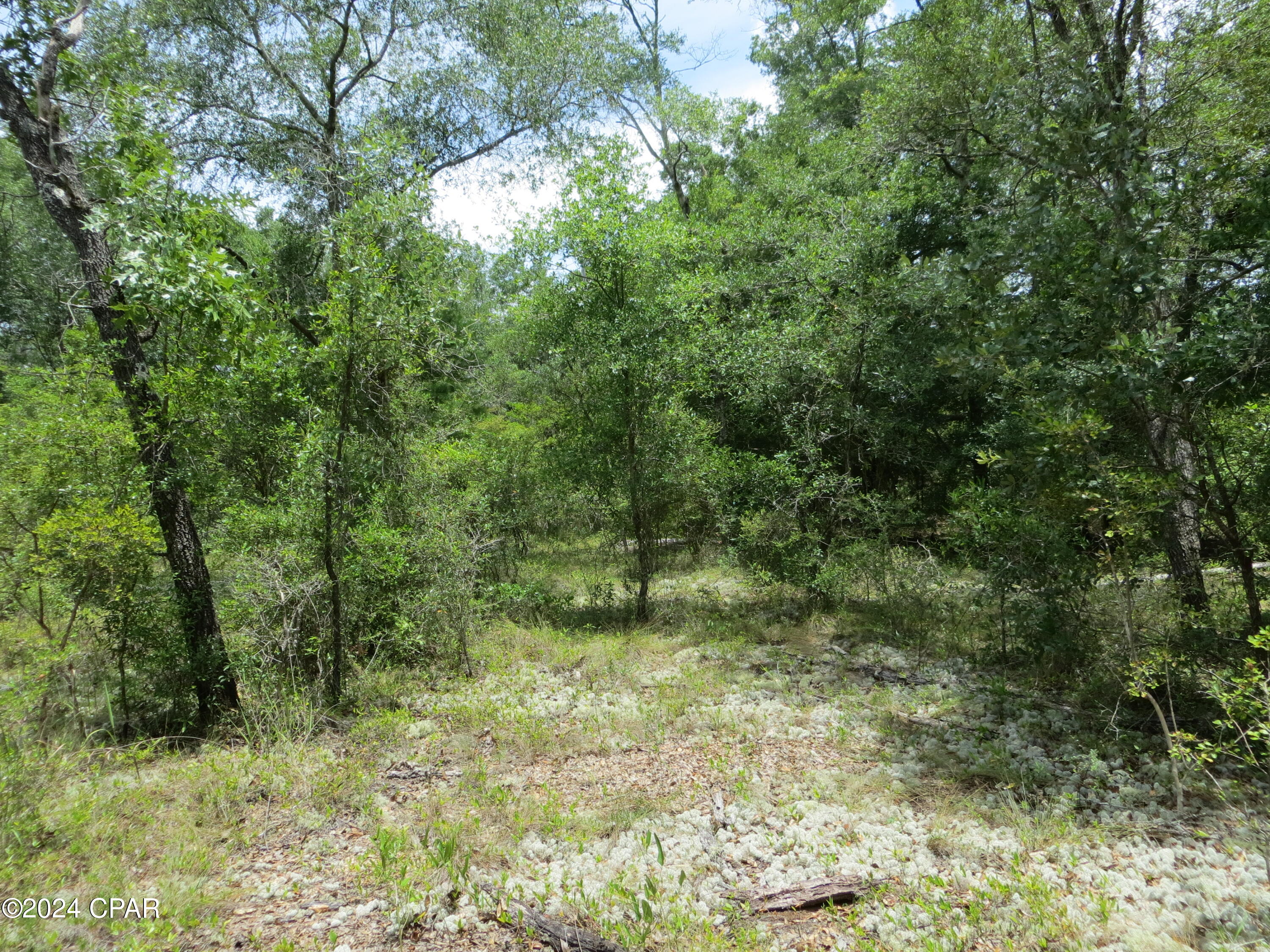 Image 1 For 0000 Moss Hill Road