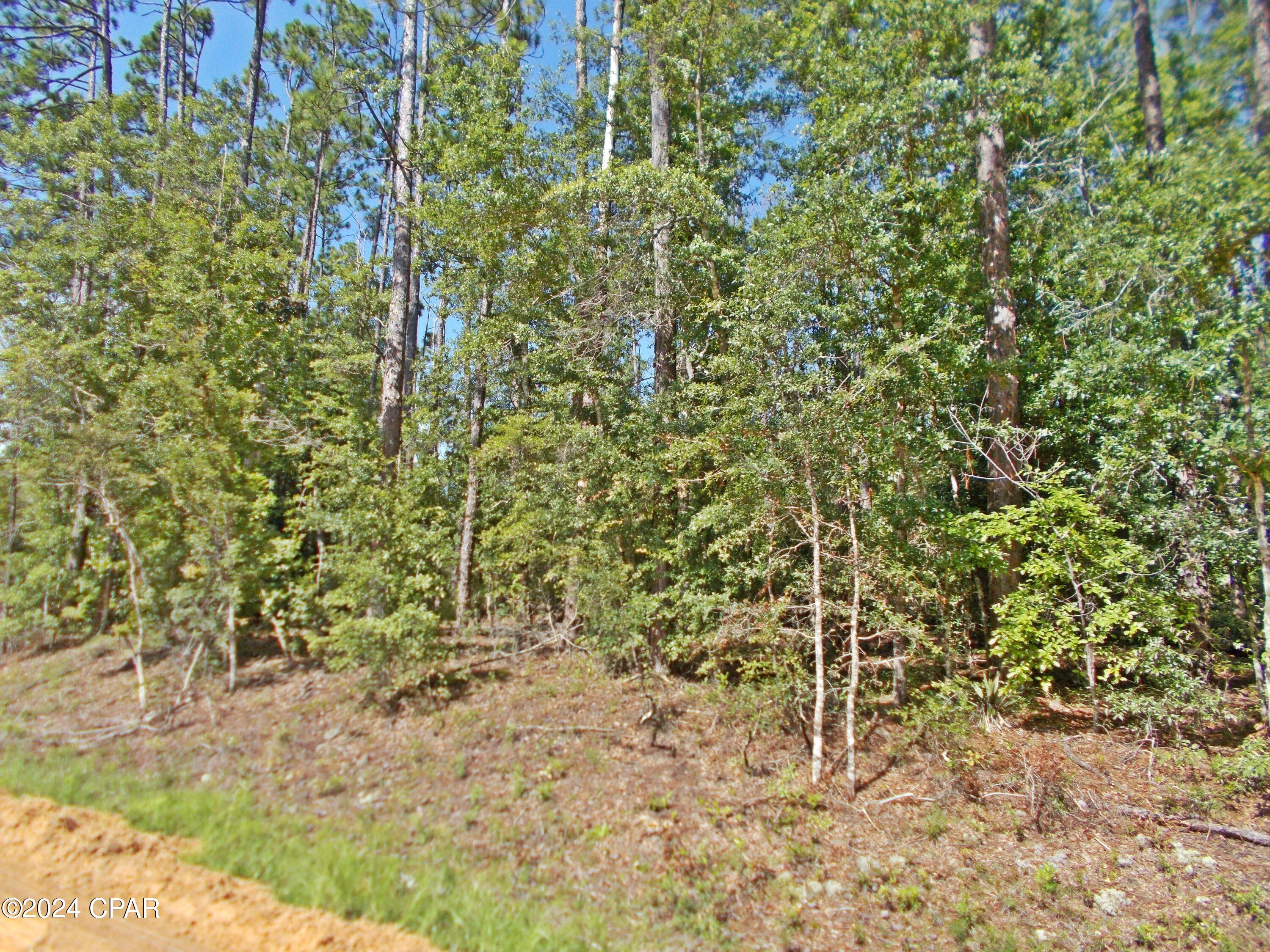 Photo of Lot 5 Hood Alford FL 32420