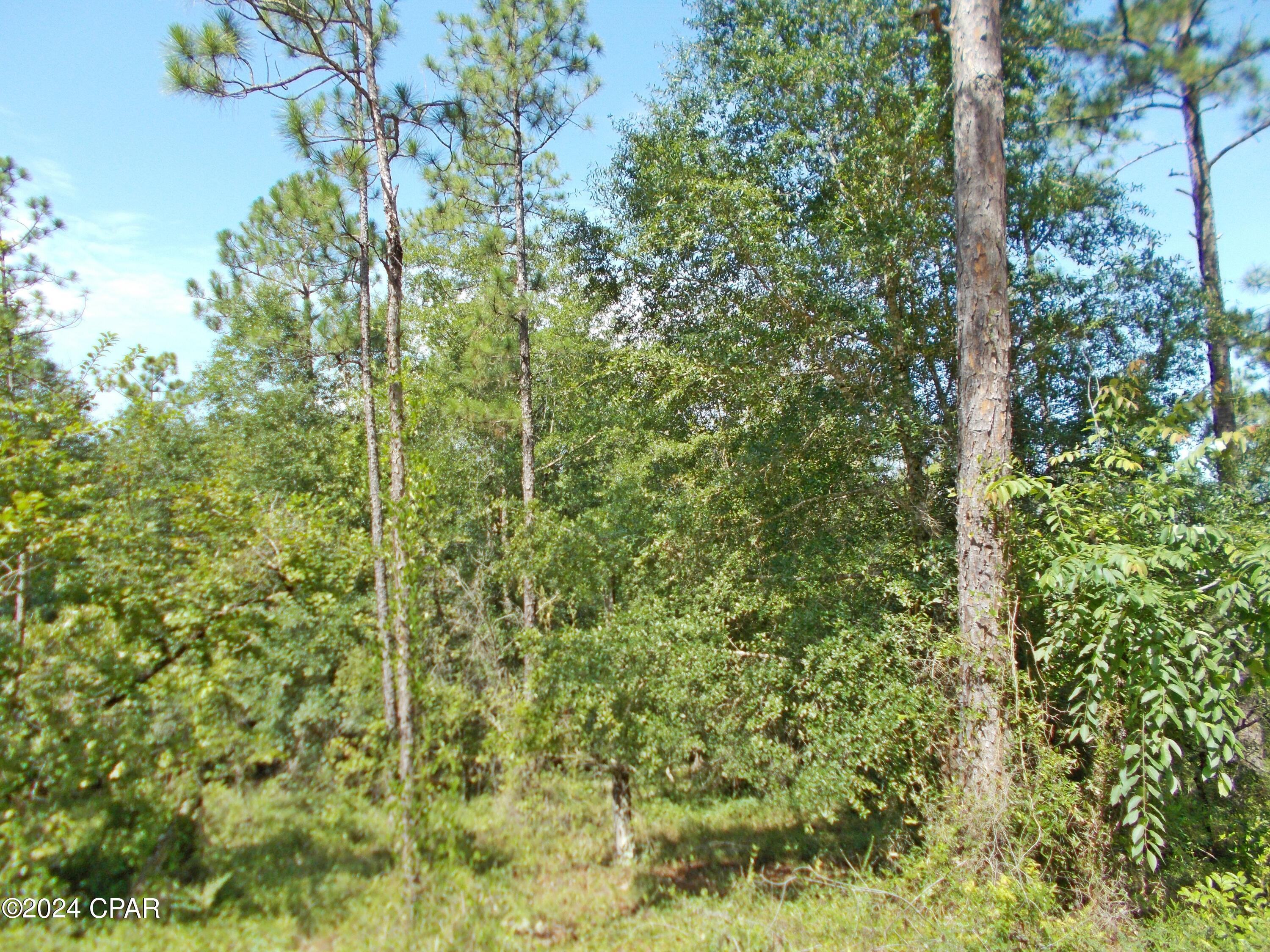 Details for Lot 10 Castle Circle, Alford, FL 32420