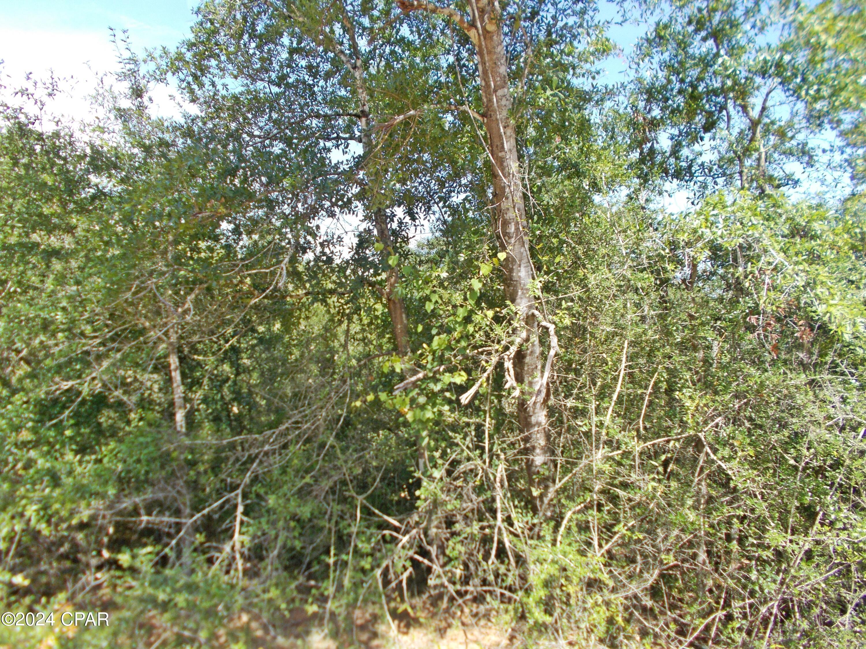 Photo of Lot 27 Southern Alford FL 32420