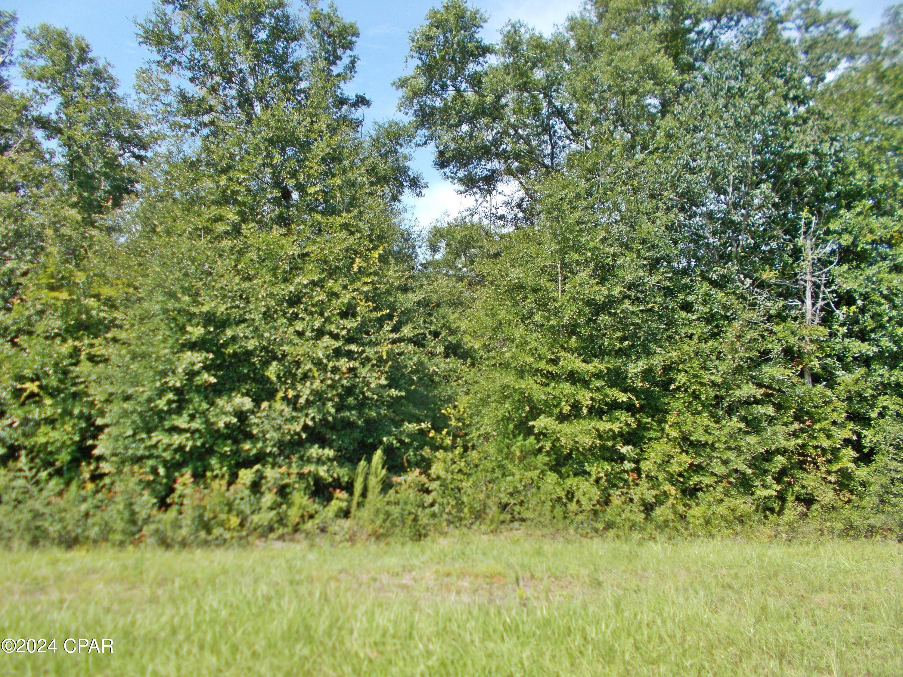 Photo of Lot 10 Laurel Alford FL 32420