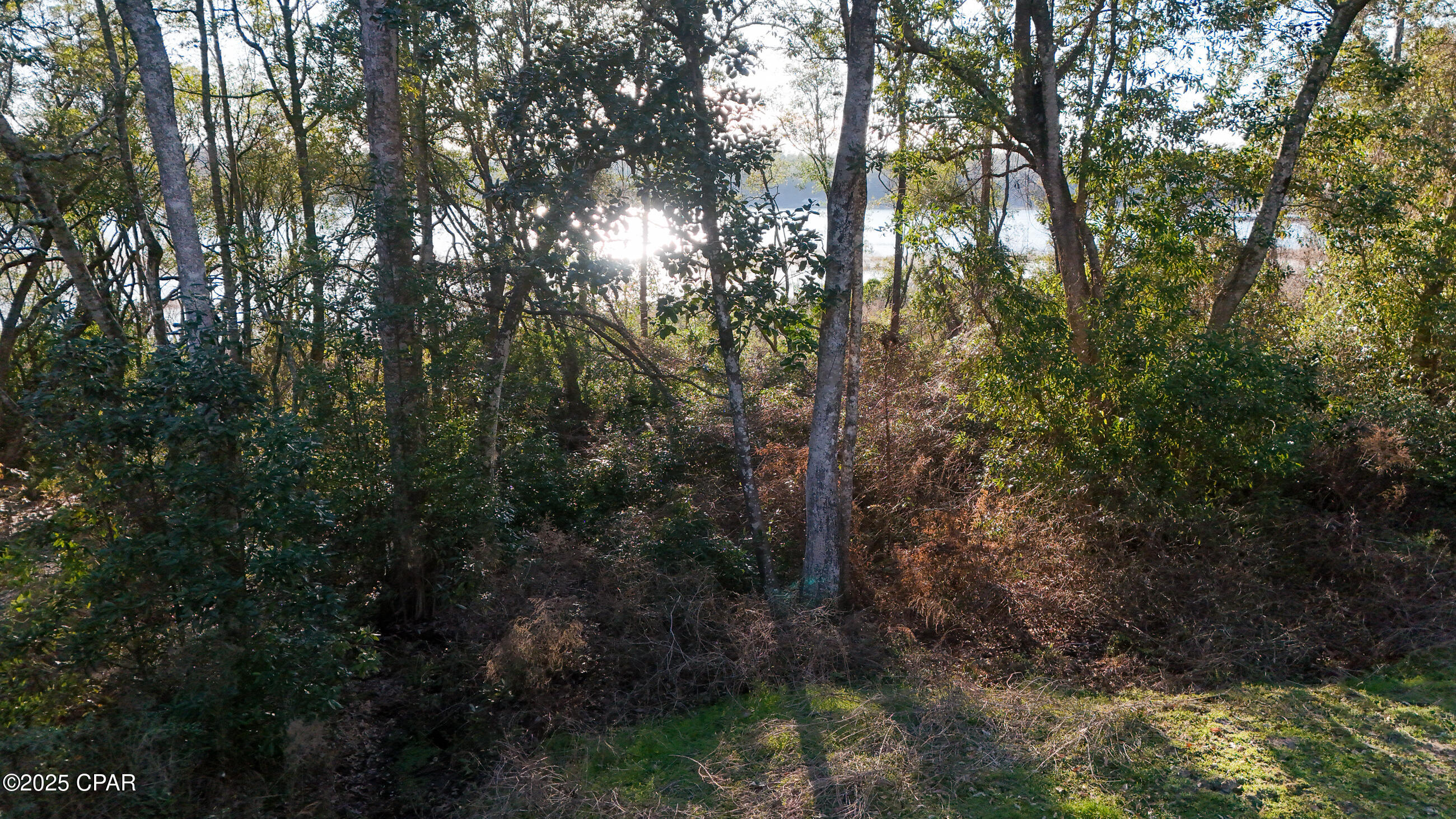 Image 49 For 3243 Quail Ridge Drive