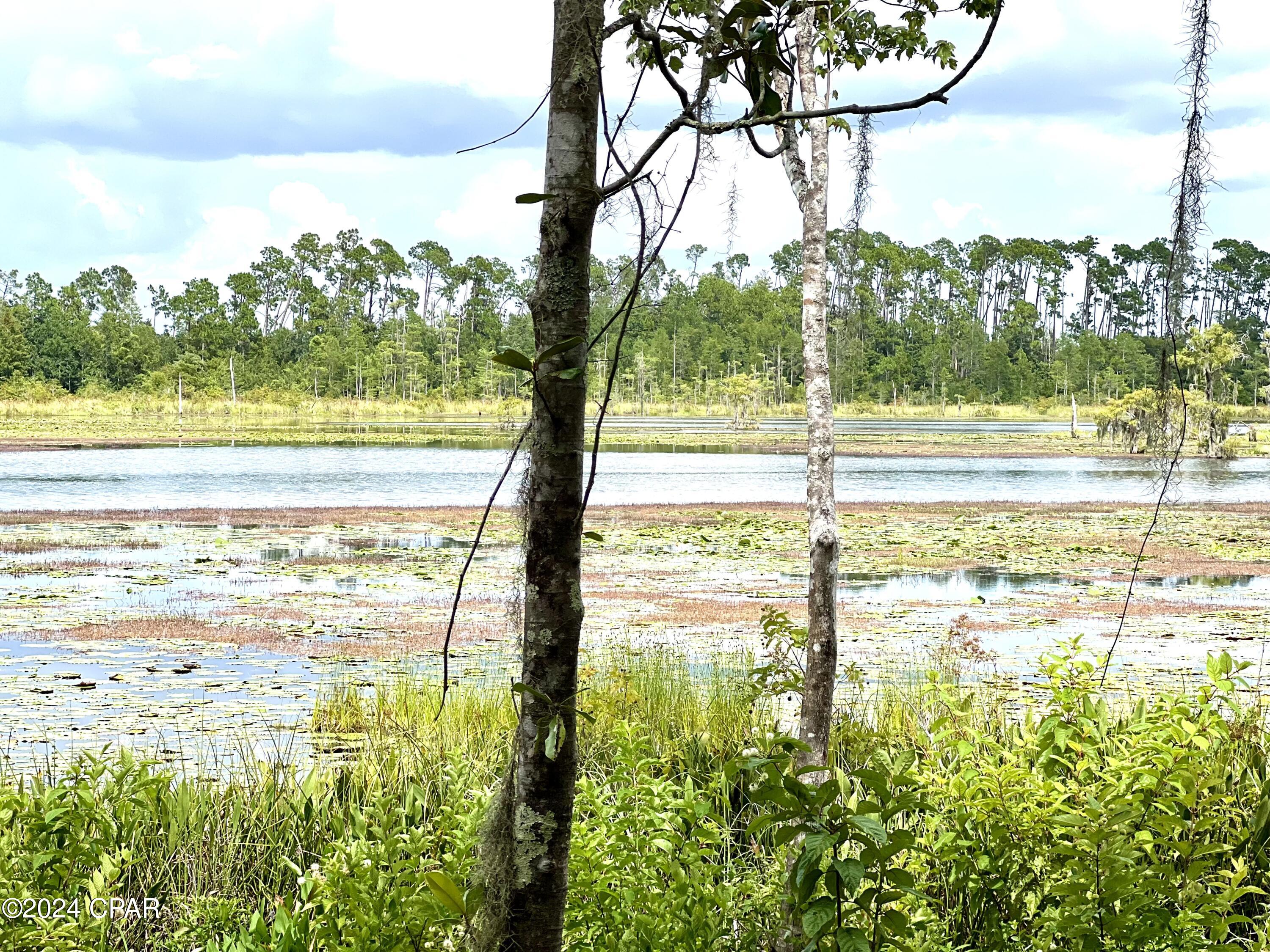 Photo of 4230 Wood Duck Southport FL 32409