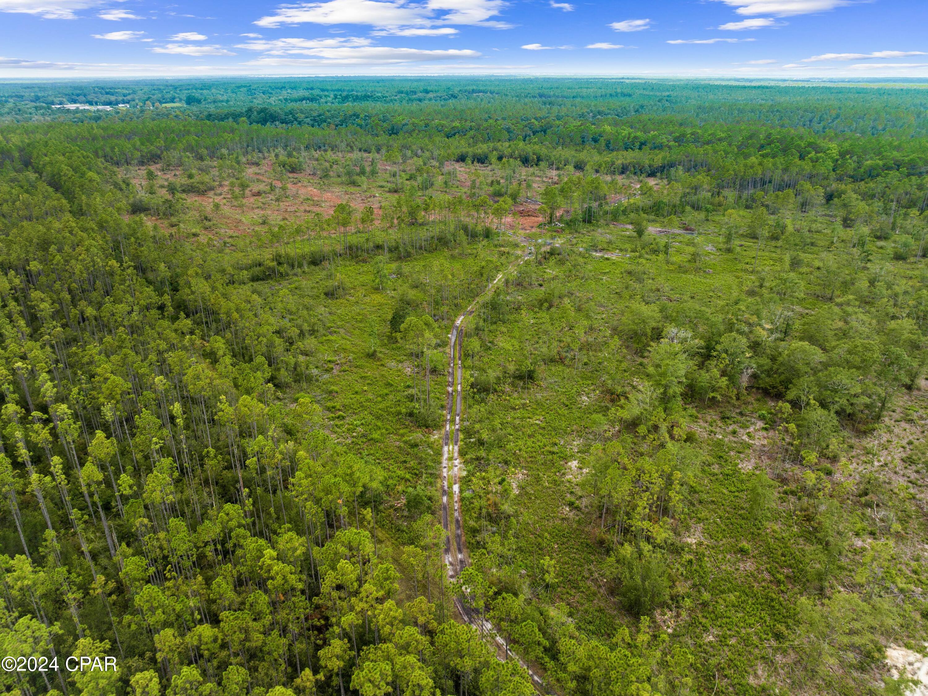 Listing photo id 10 for 1628 Joe Dugger Road