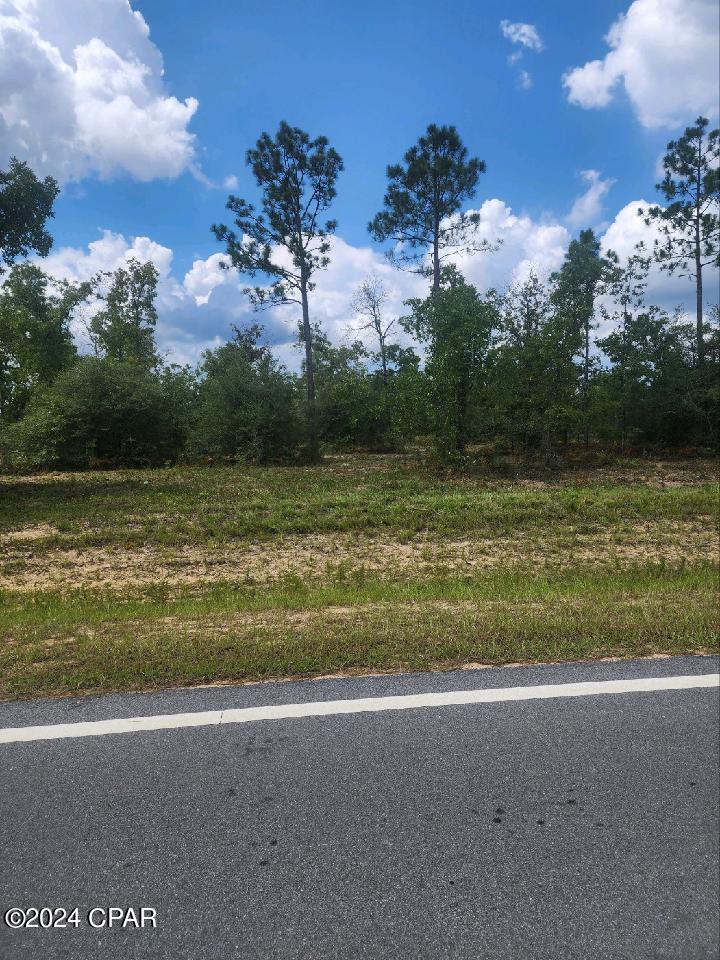 Image 3 For Lot 6 Buckhorn Boulevard