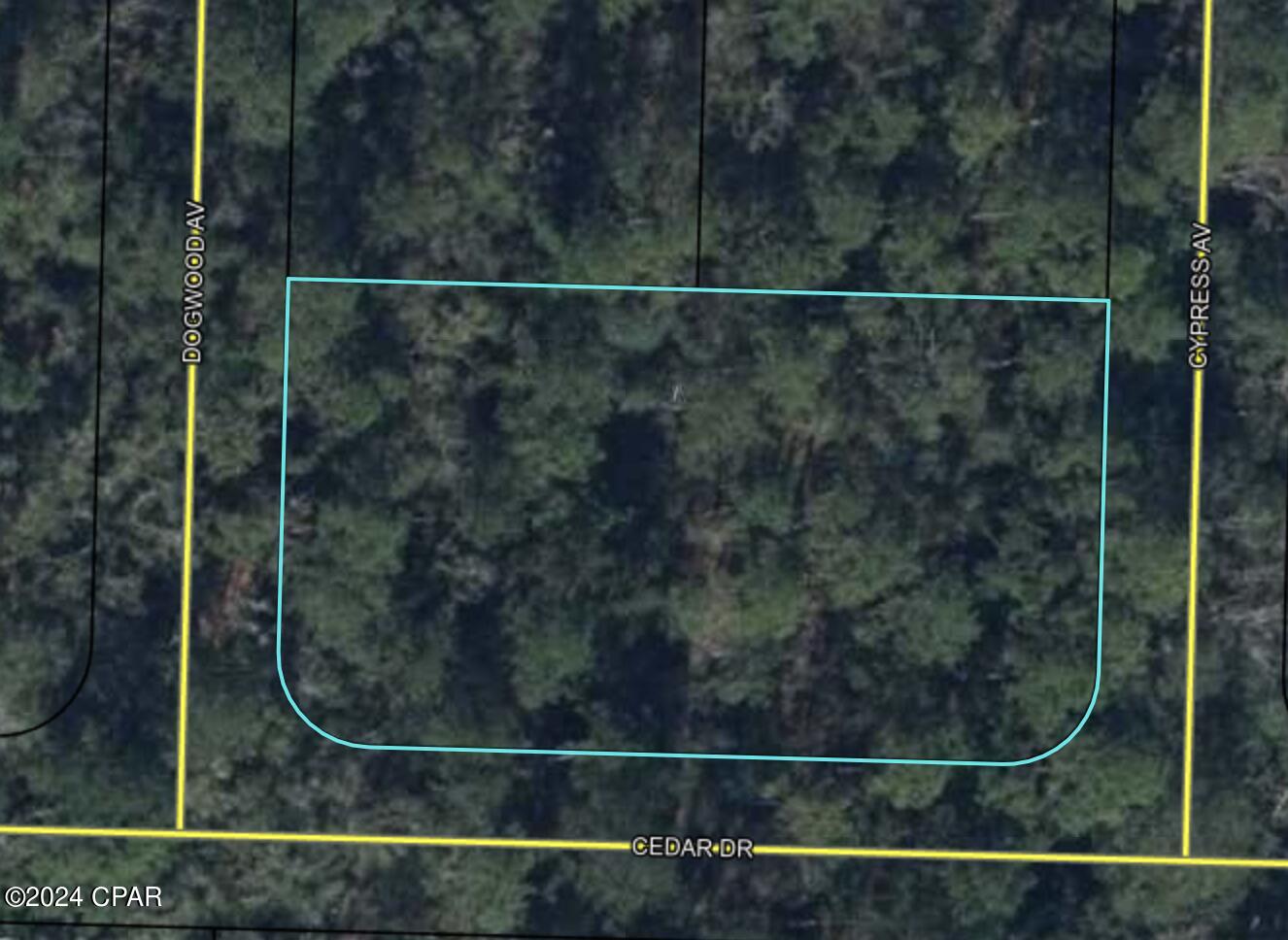 000 Cedar Drive, Vernon, Florida image 1