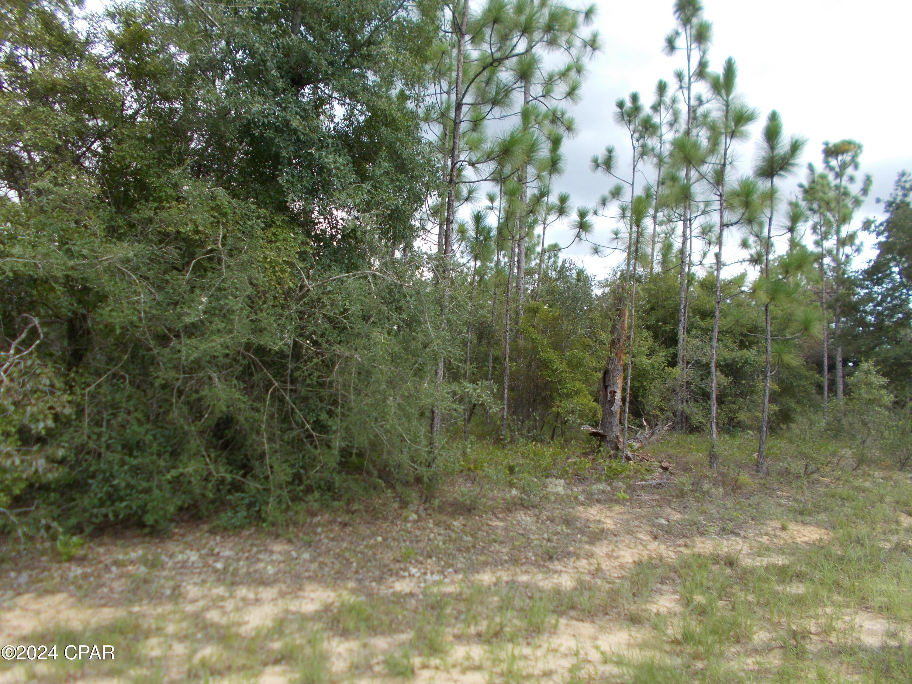 Photo of Lot 6 Newmoon Chipley FL 32428