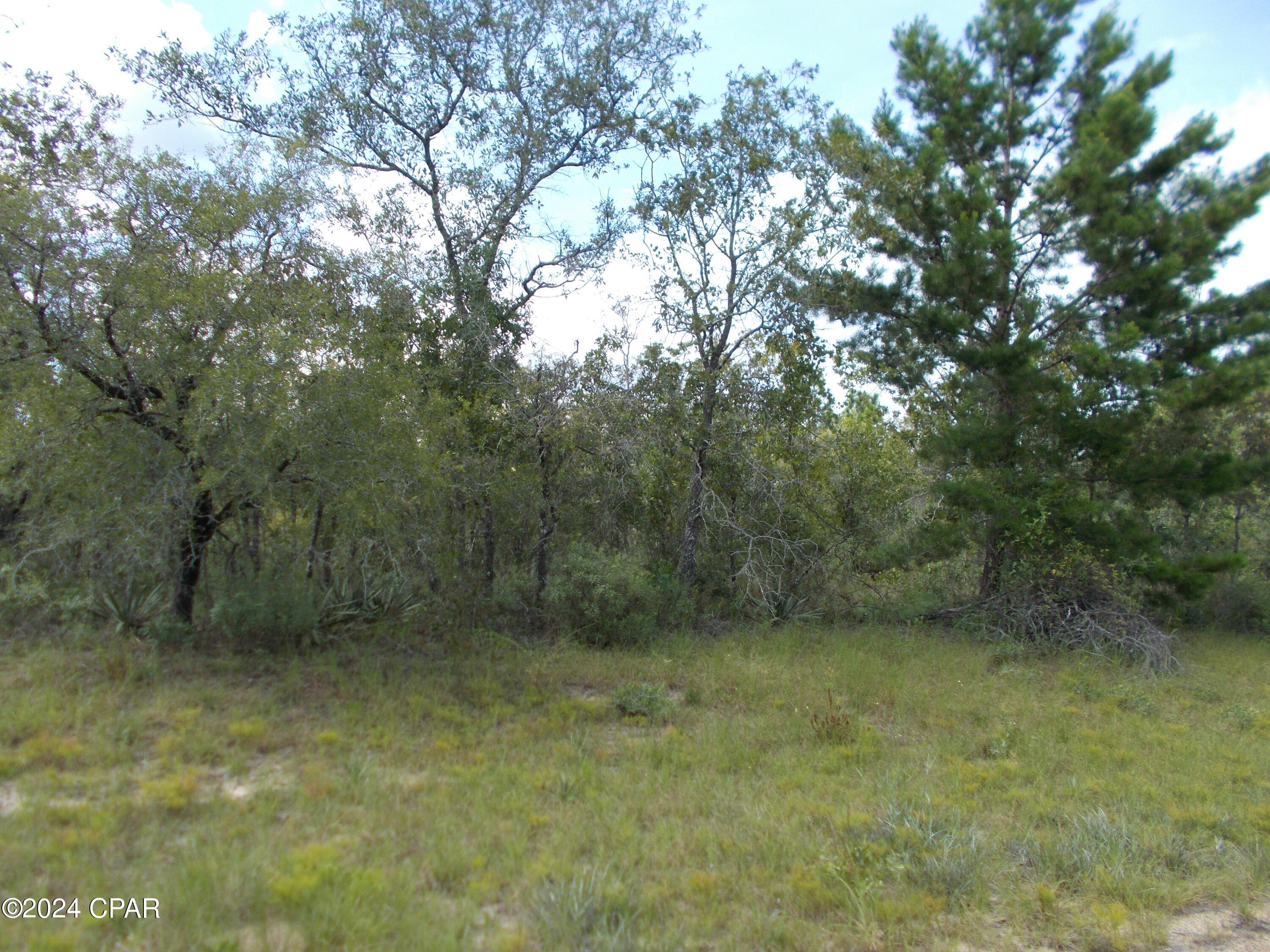 Photo of Lot 13 Laredo Chipley FL 32428