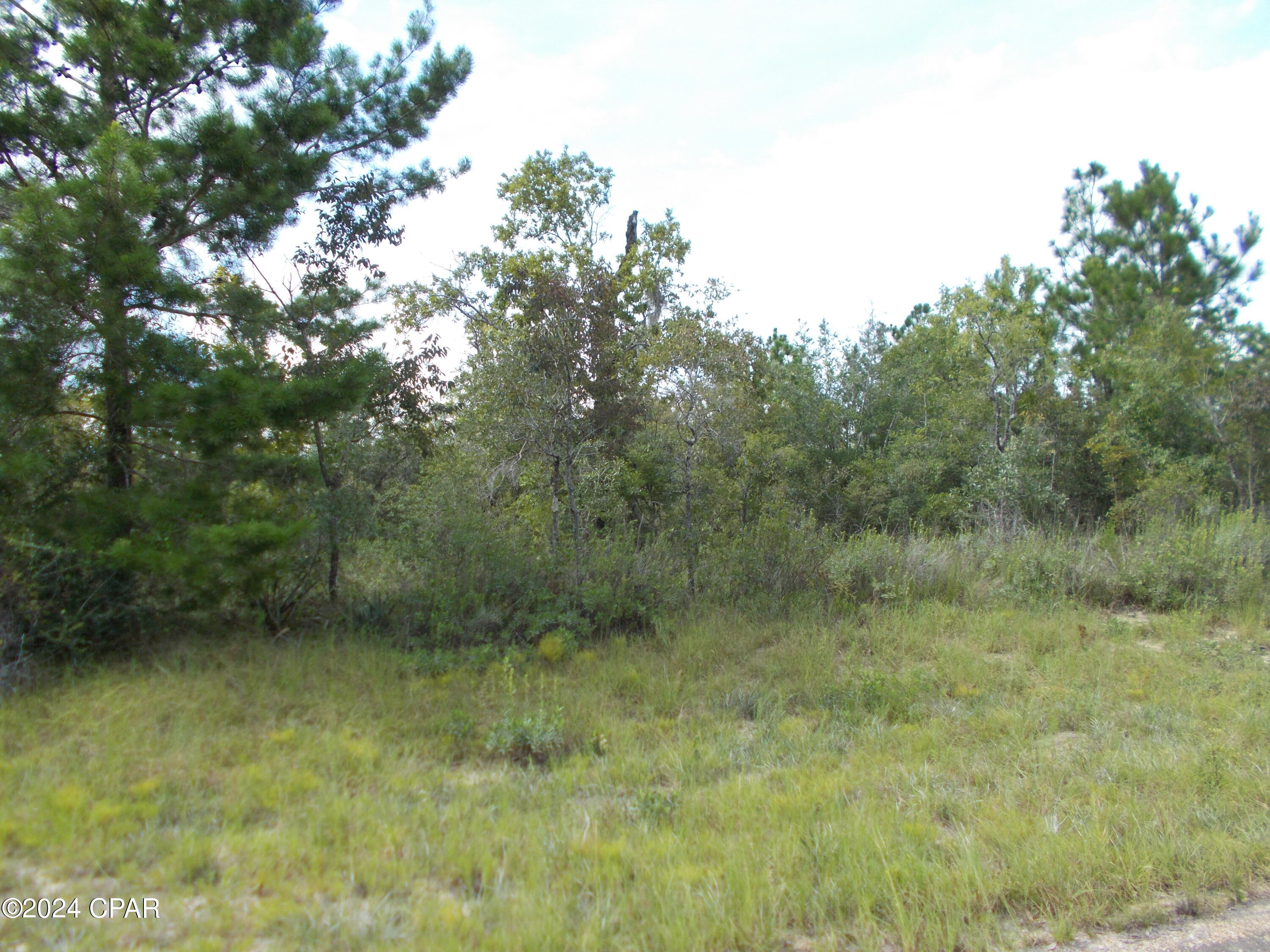 Photo of Lot 22 Clement Chipley FL 32428