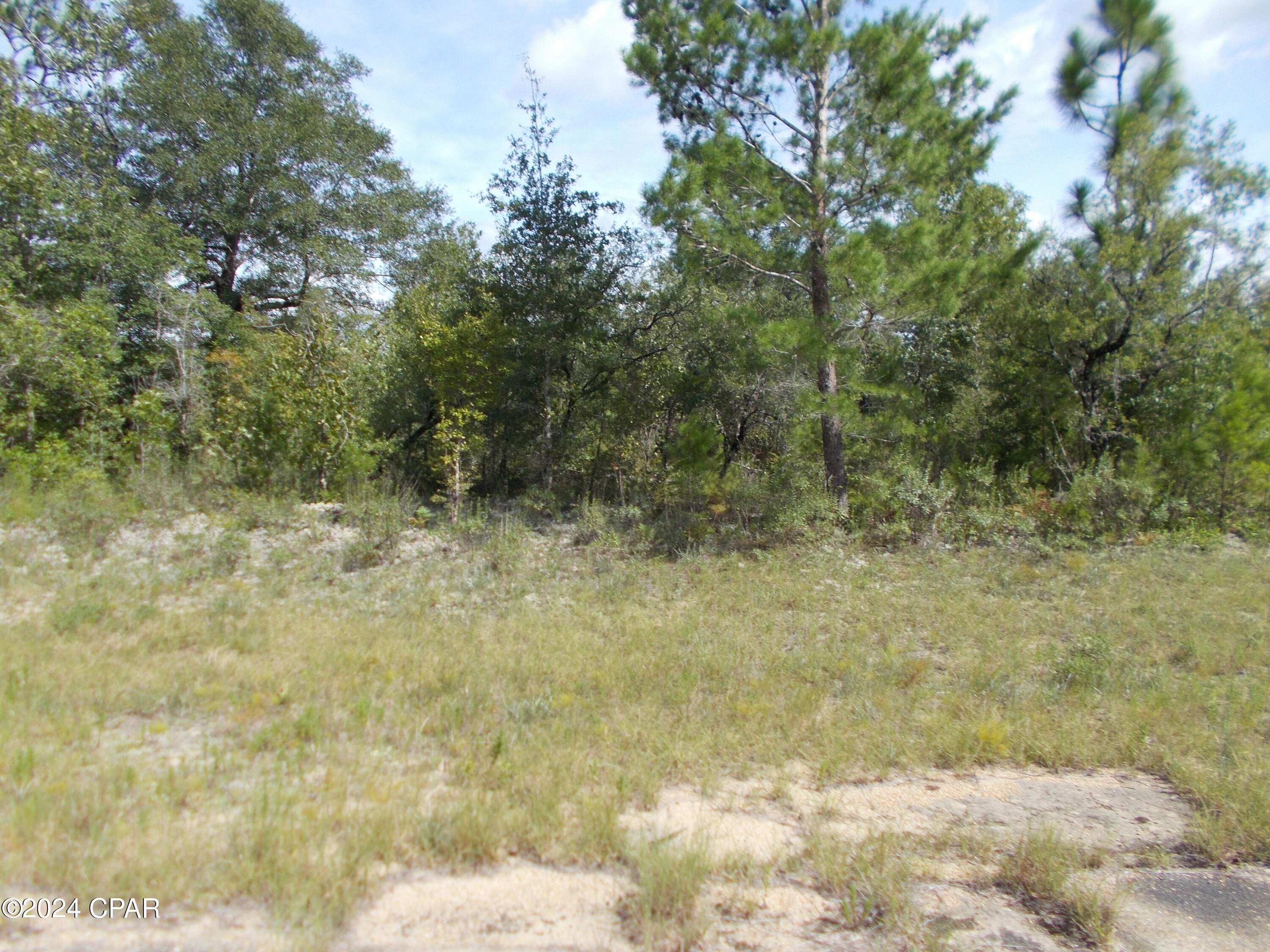 Details for Lot 13 Hanford Street, Chipley, FL 32428