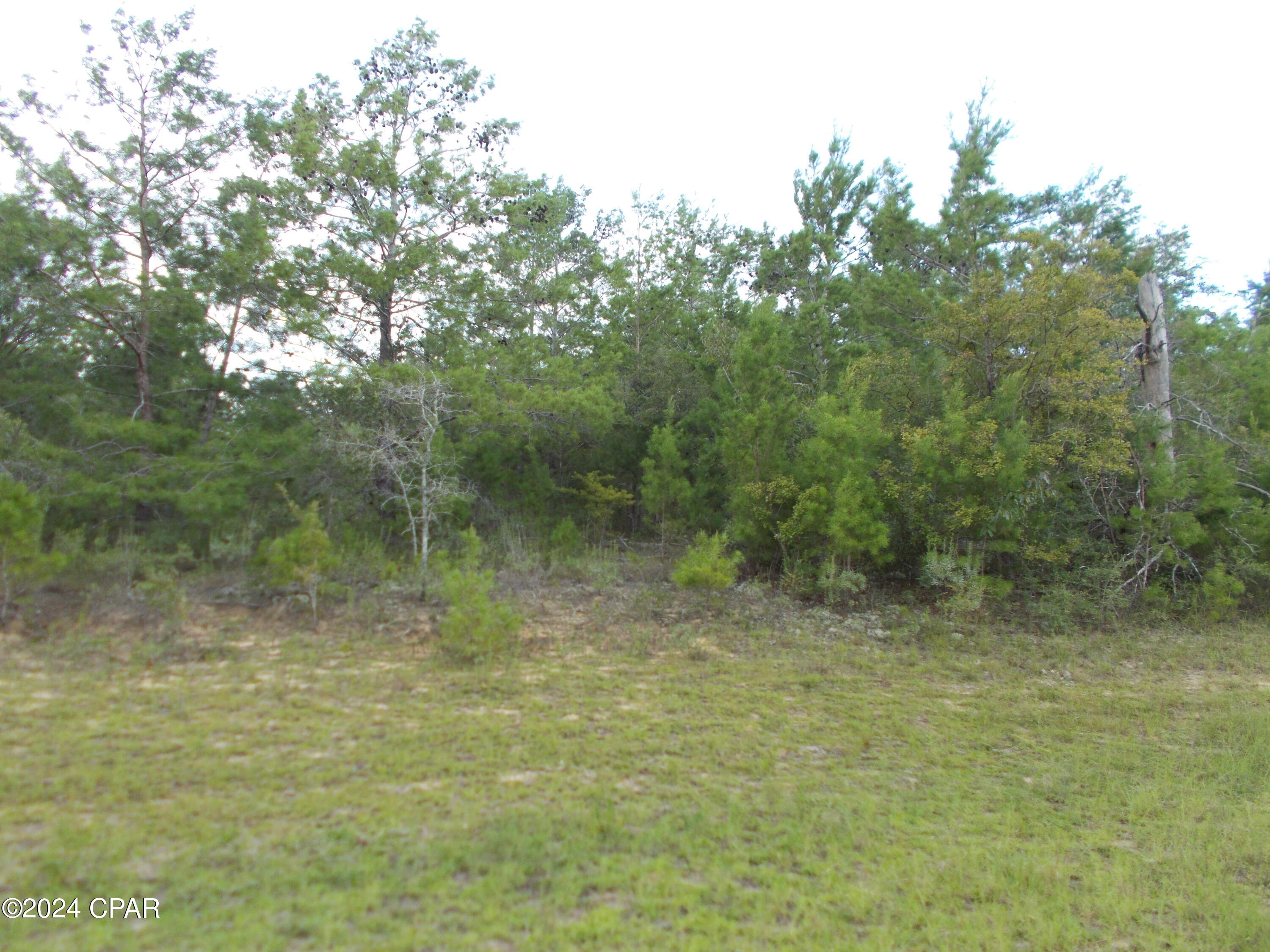 Details for Lot 3 Blackstone Drive, Chipley, FL 32428