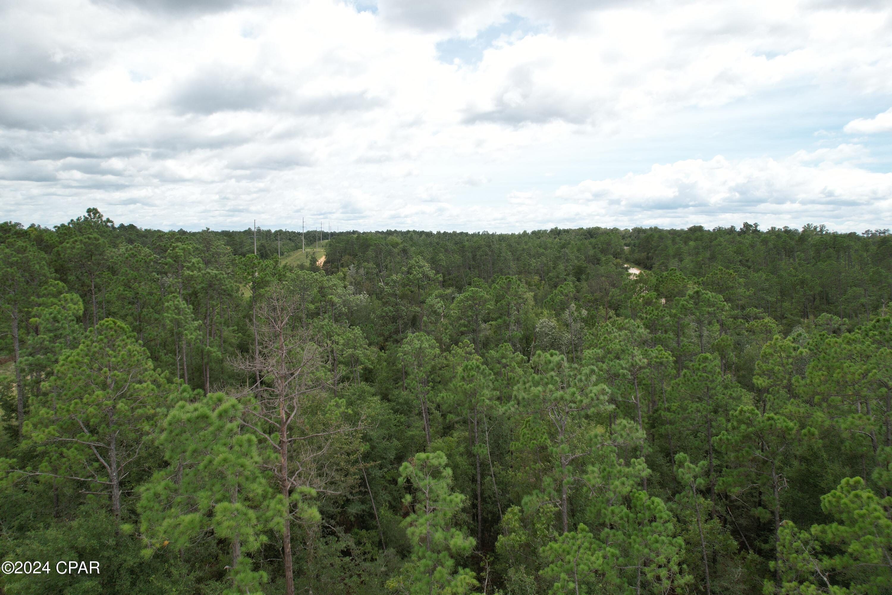 Photo of 00 Chequamegon Alford FL 32420