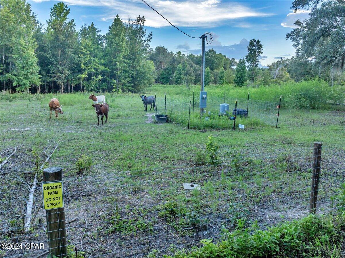 5018 Old Us Rd Road, Marianna, Florida image 13