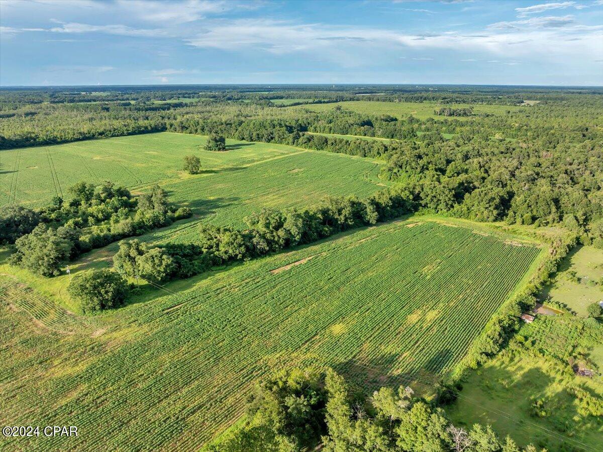 5018 Old Us Rd Road, Marianna, Florida image 23