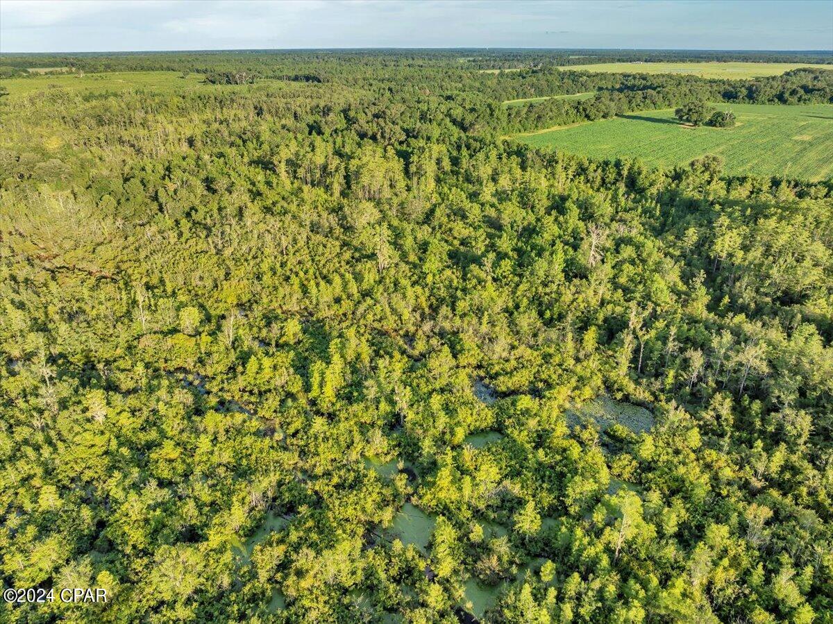 5018 Old Us Rd Road, Marianna, Florida image 34