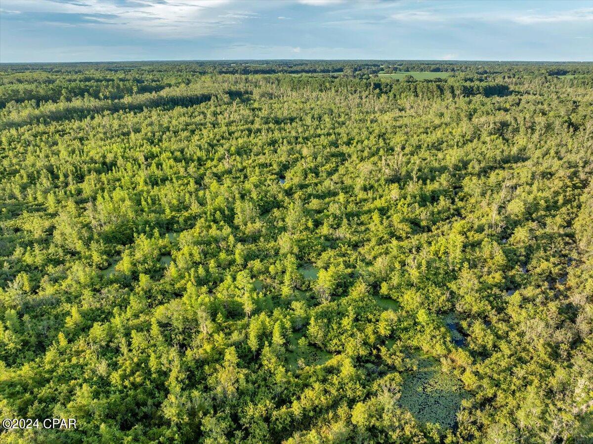 5018 Old Us Rd Road, Marianna, Florida image 36