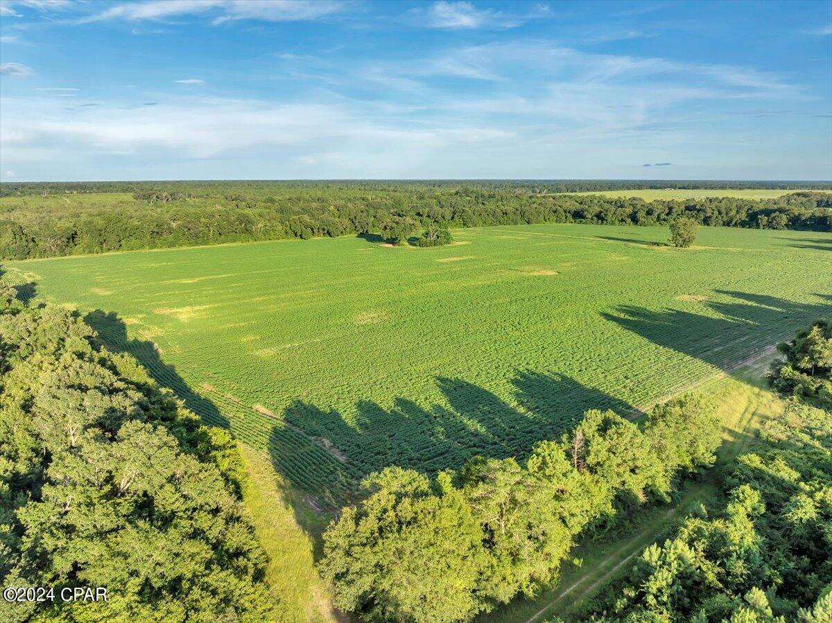 5018 Old Us Rd Road, Marianna, Florida image 38