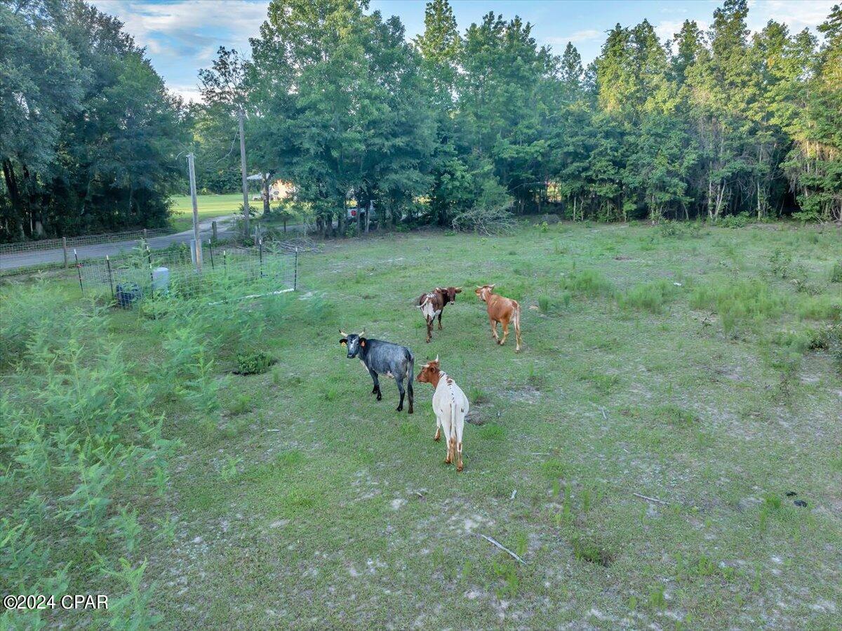 Image 64 For 5018 Old Us Rd Road