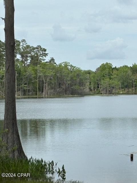 Details for Lot 20 Magnolia Drive, Chipley, FL 32428