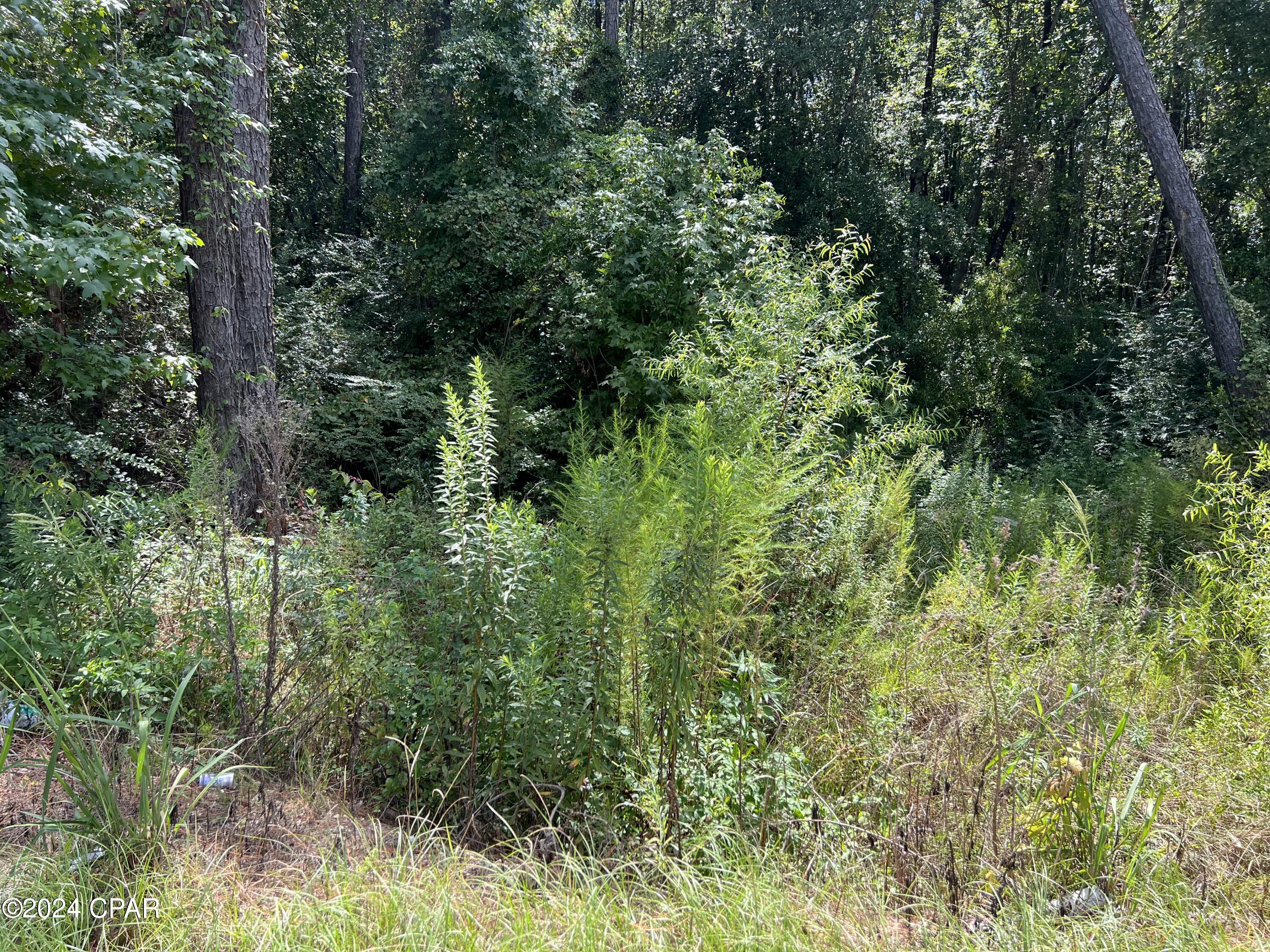 Photo of 00 Hwy 77 Chipley FL 32428