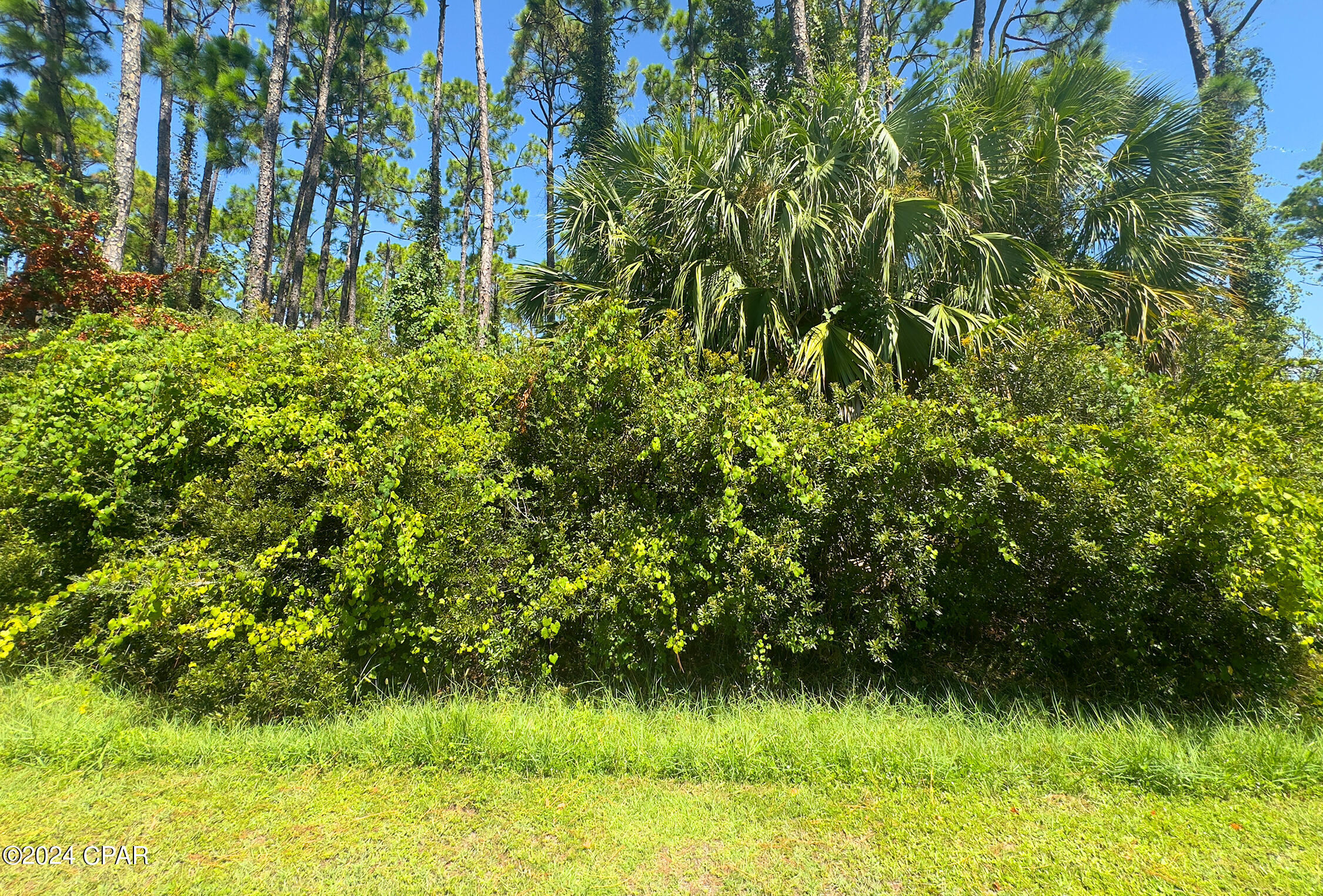 Image 5 For 923 Cape San Blas Road