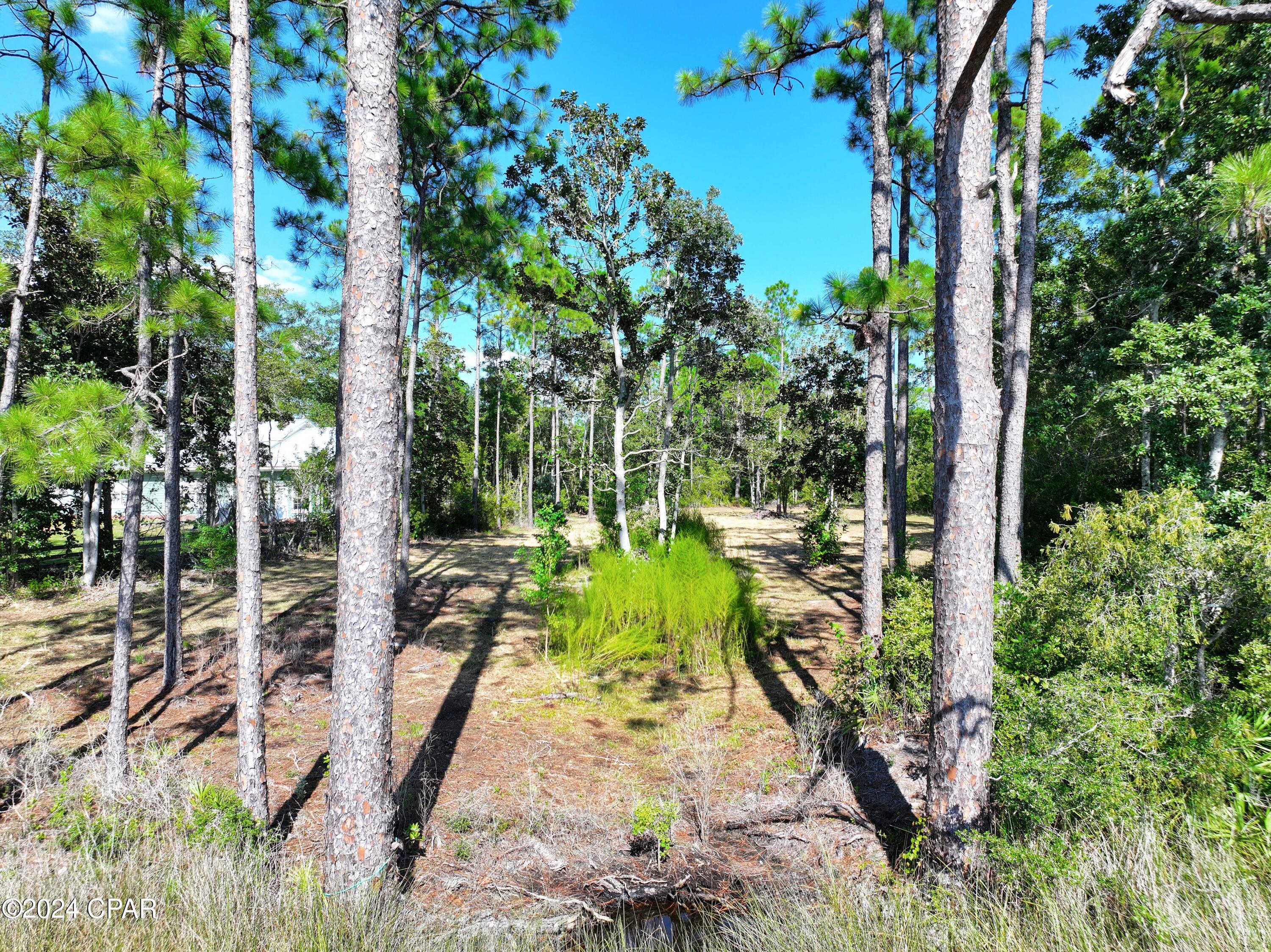 9399 S Burnt Mill Creek Road, Panama City, Florida image 33
